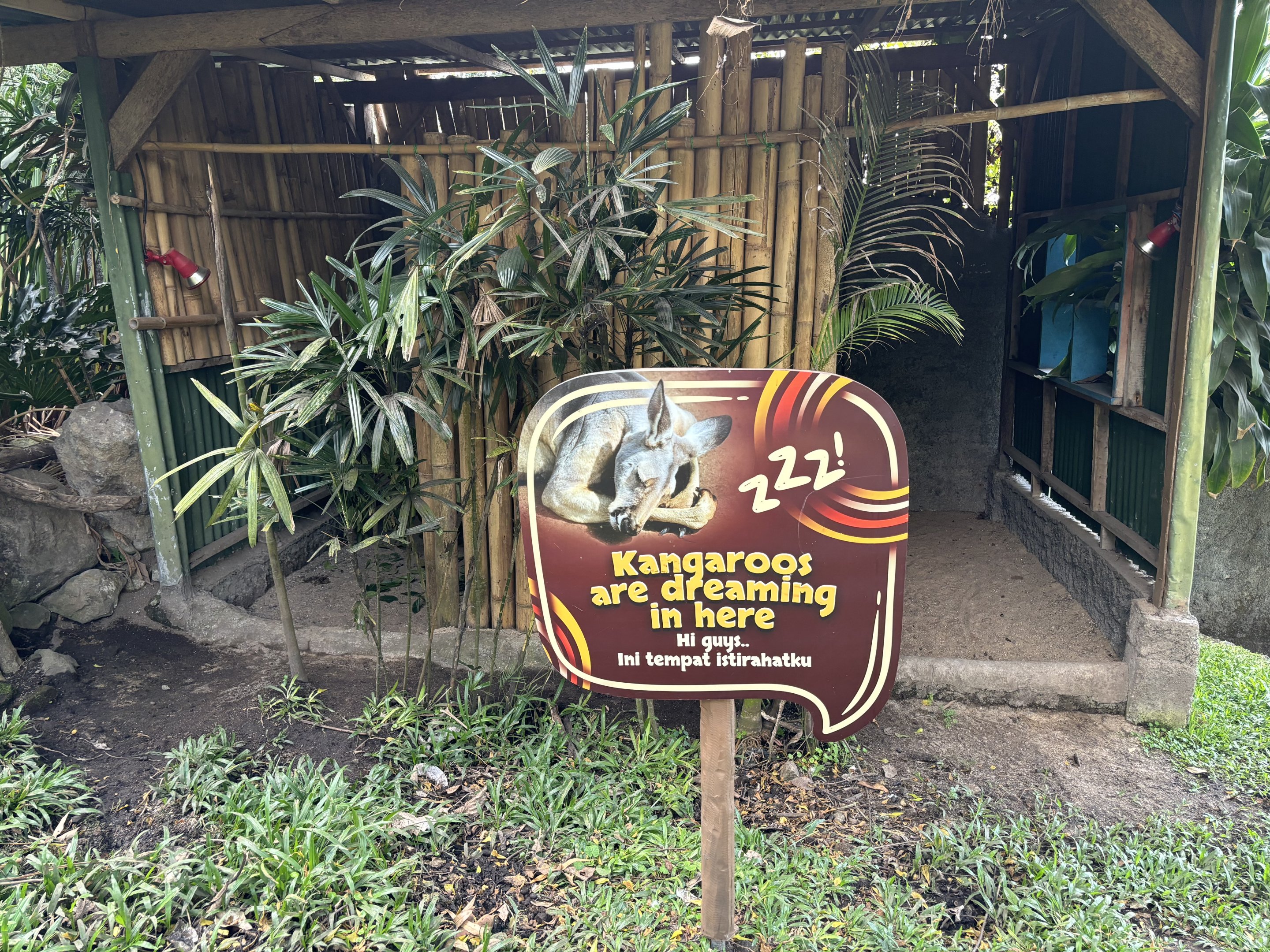 Walk-through Macropod Exhibit #1