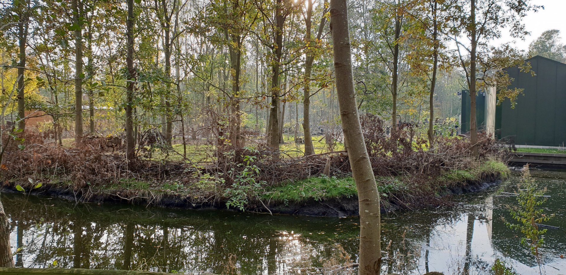 Walk-through monkey islands