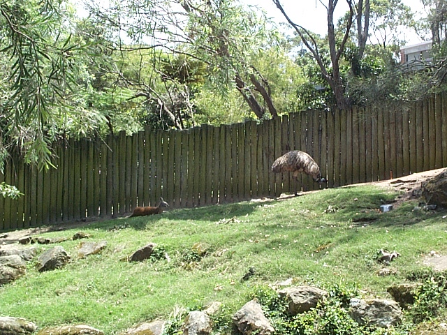 walk through outback exhibit Dec 2001