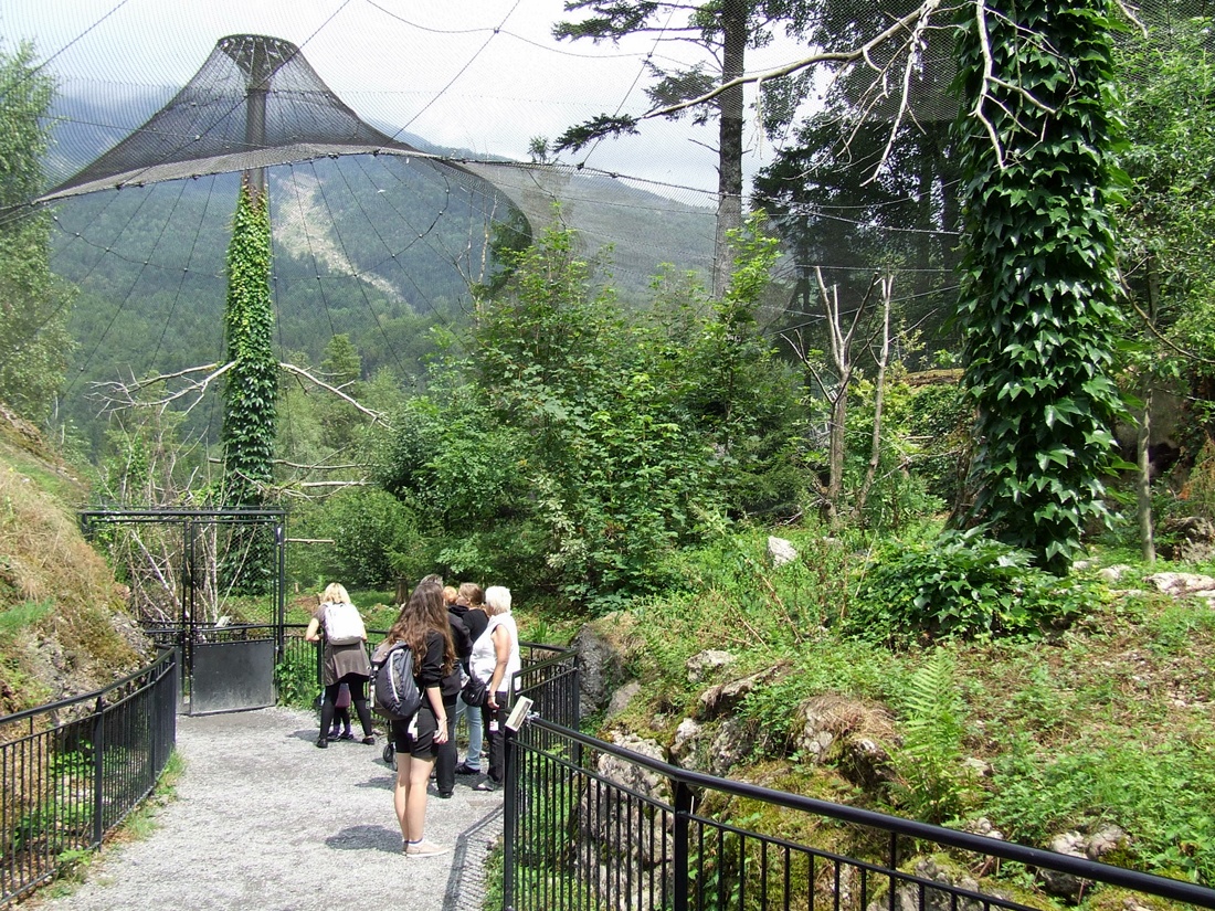 Walk-through Owl Aviary