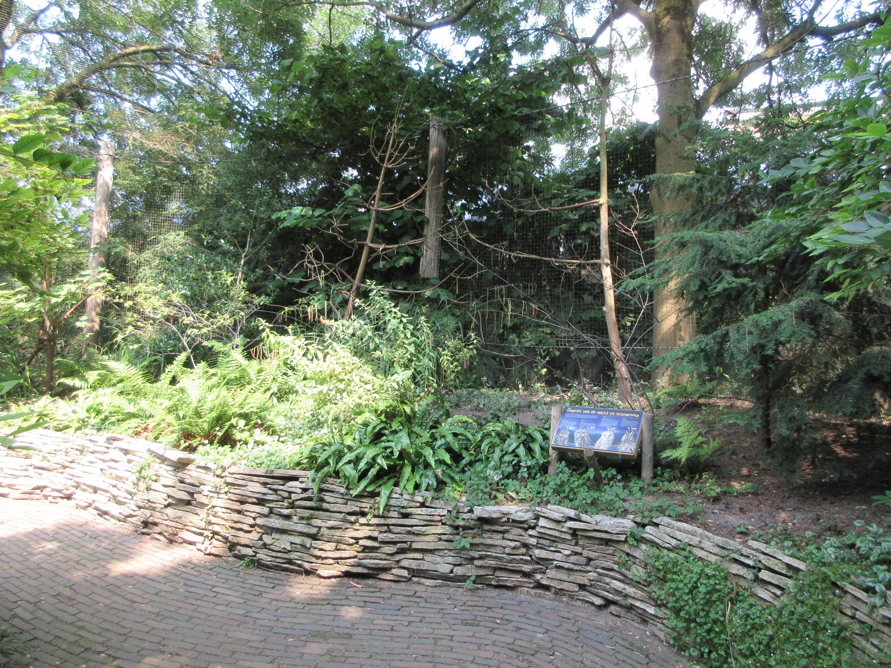 Walk-Through Owl Exhibit (4 species)