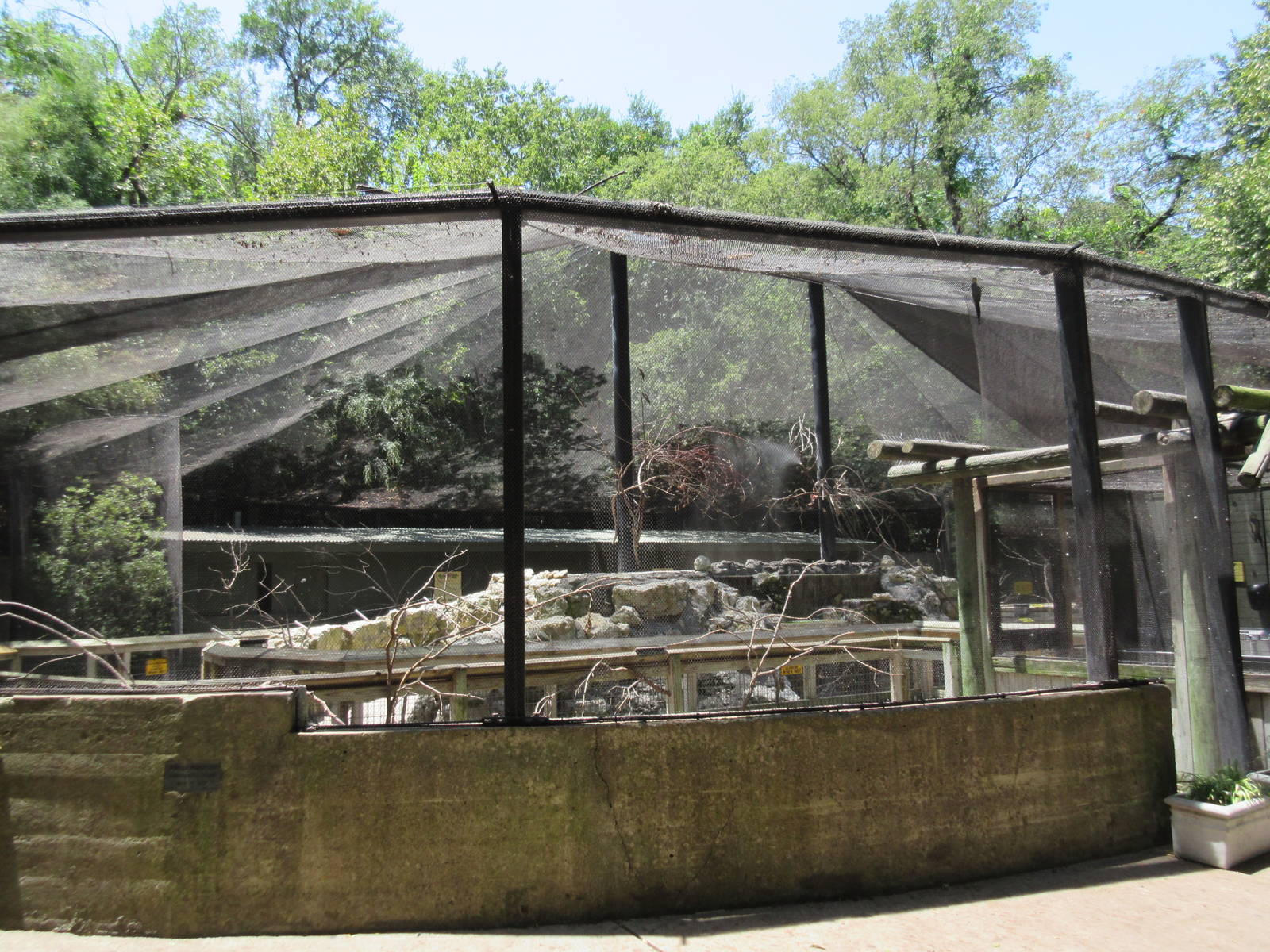 Walk-Through Parrot Aviary