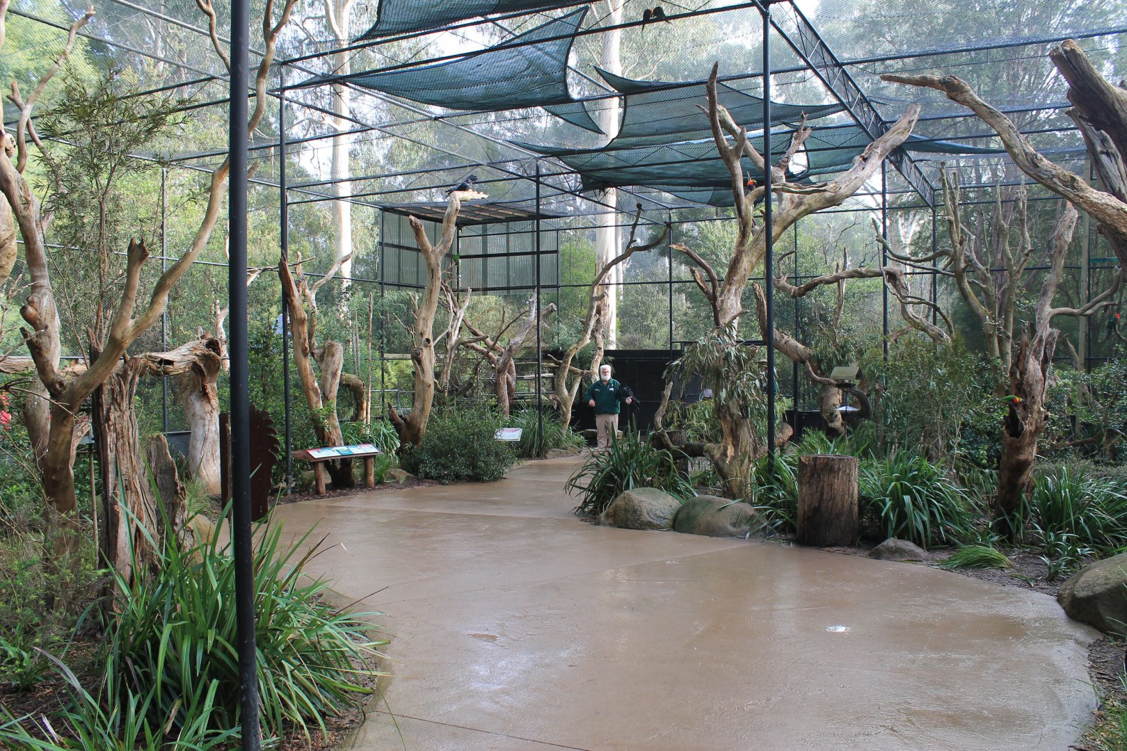 walk-through parrot aviary