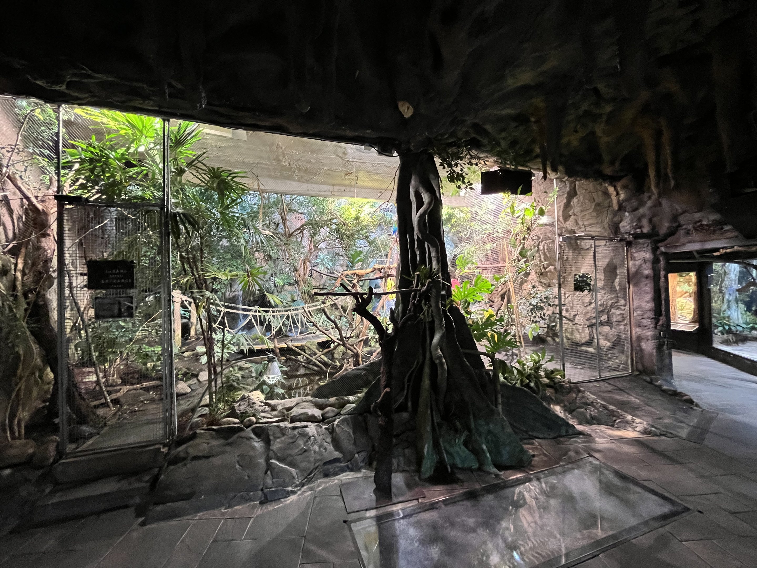 Walk Through Parrot Aviary