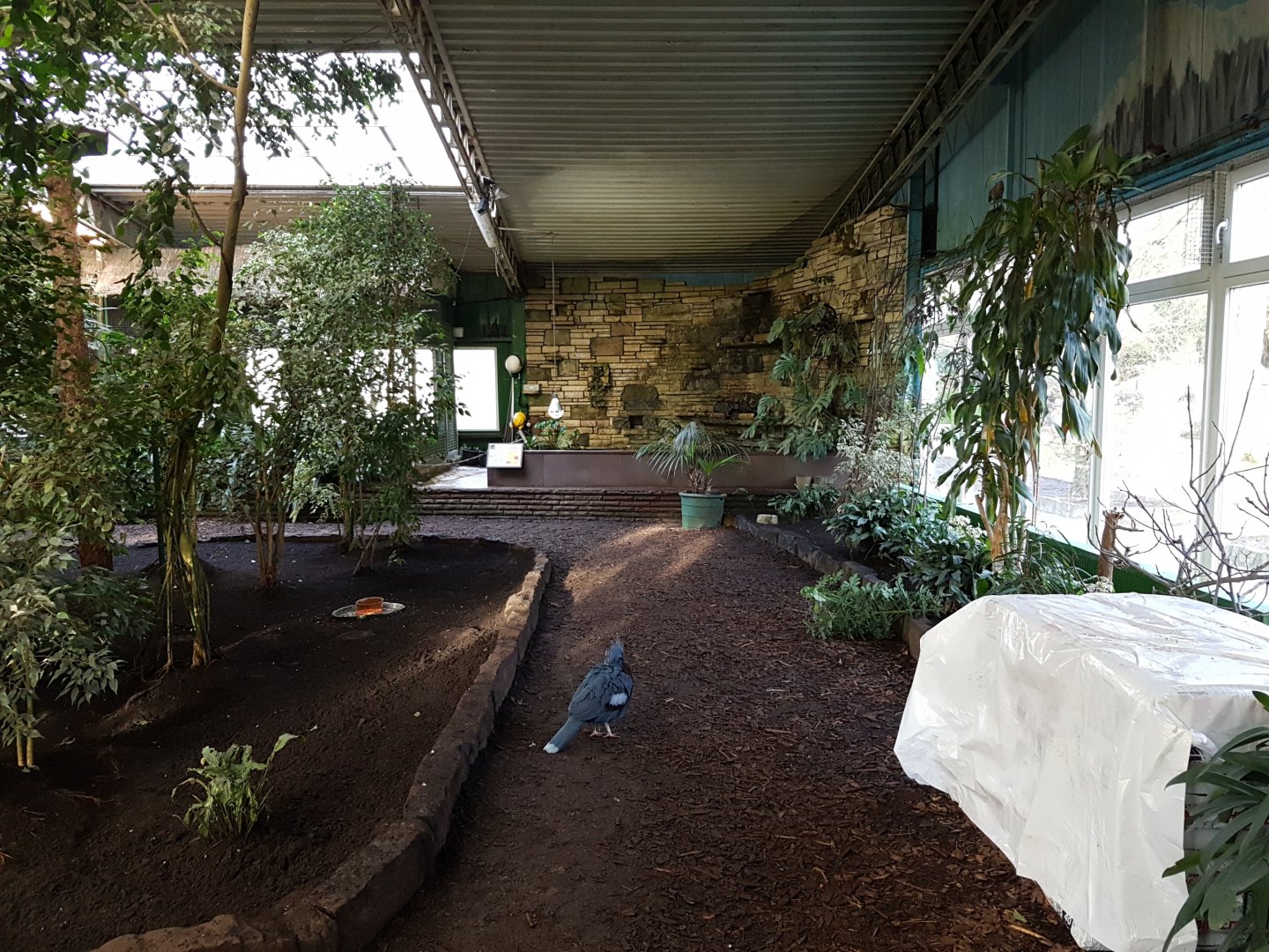 Walk-through part and Big-headed turtle-enclosure