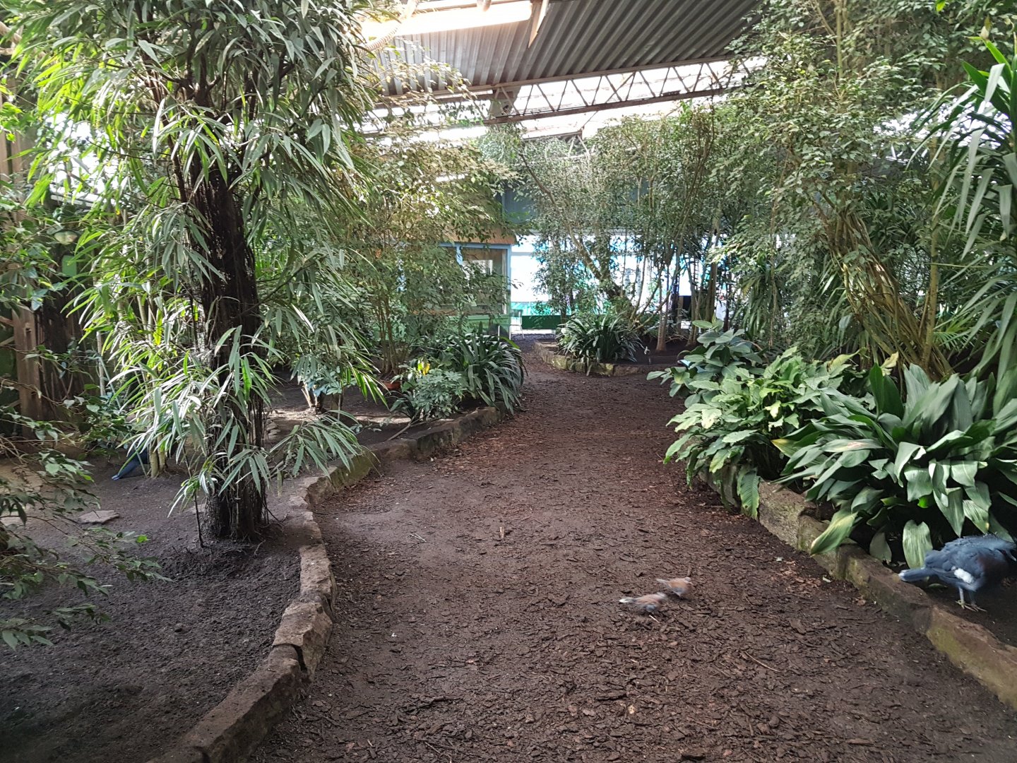 Walk-through part Tropical Hall