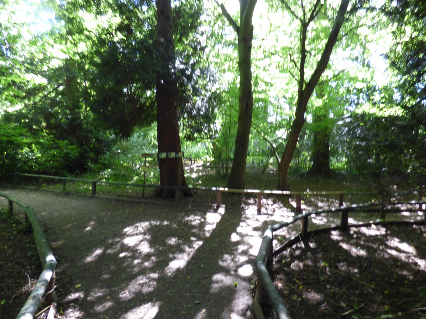 Walk-through Pheasant Enclosure