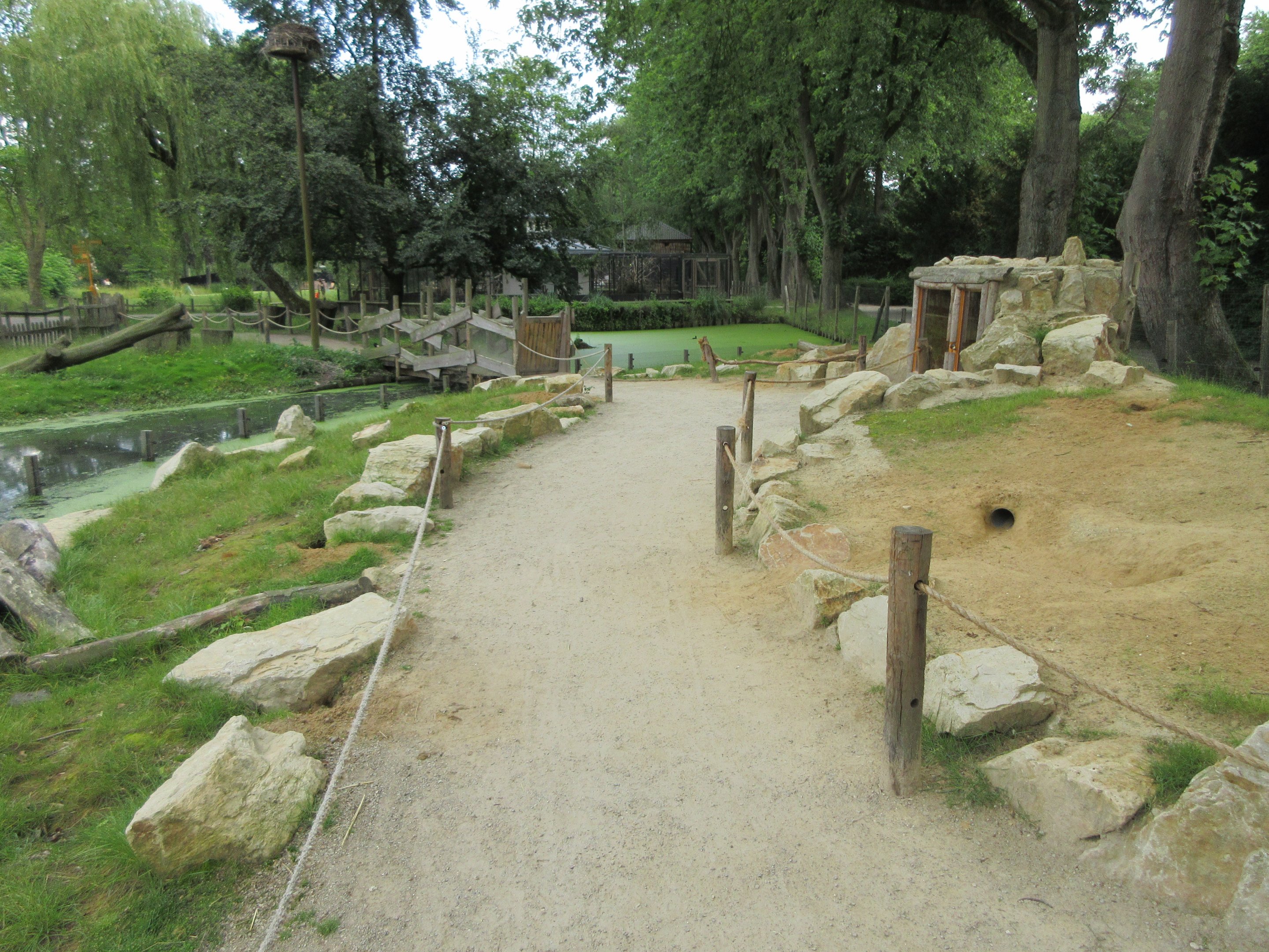 Walk-through Prairie Dog Exhibit