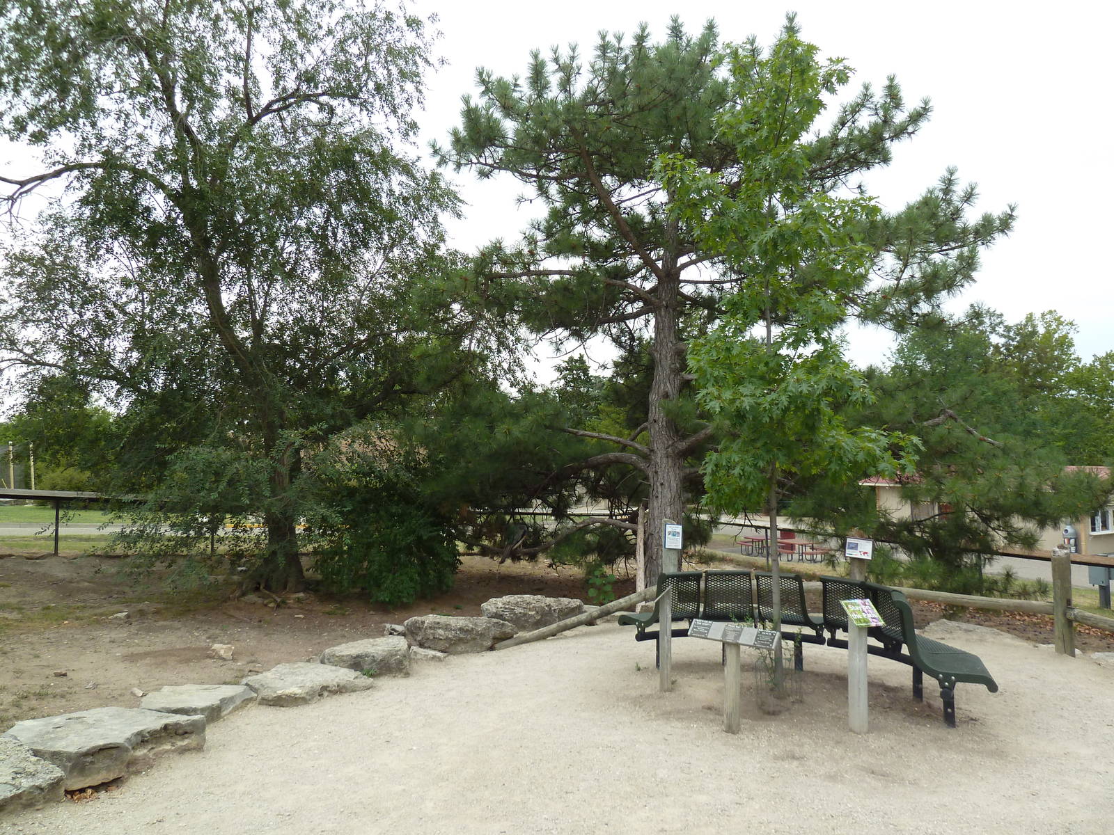 Walk-Through Prairie Dog/Turkey Vulture Exhibit