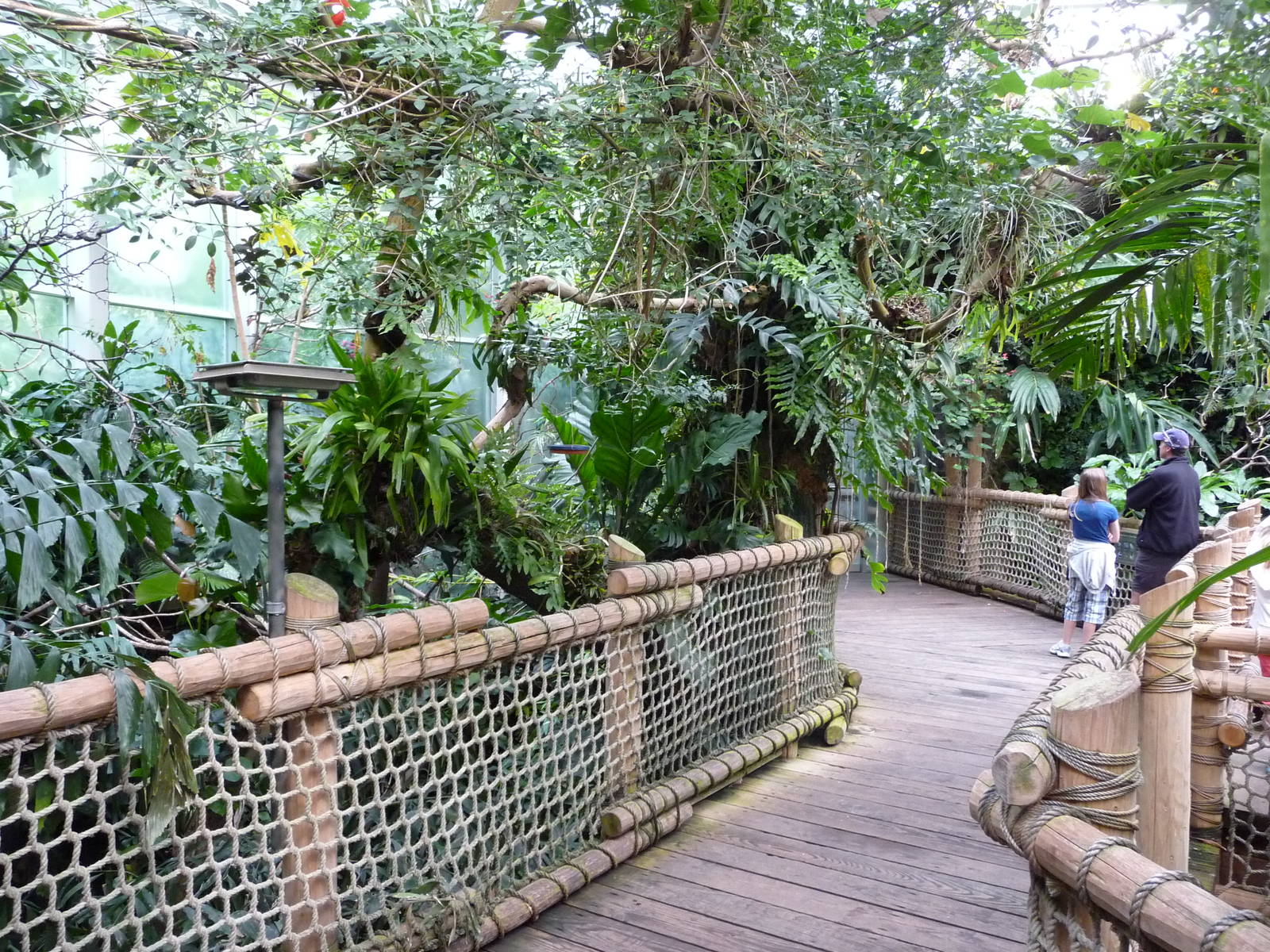 Walk-Through Rainforest Aviary