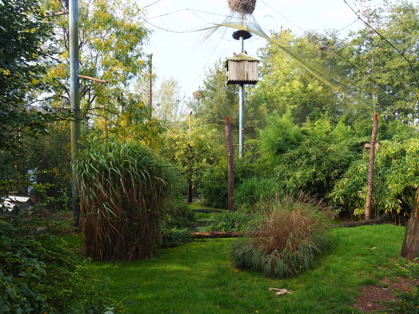 Walk-through raptor and vulture aviary, 2019-10-04