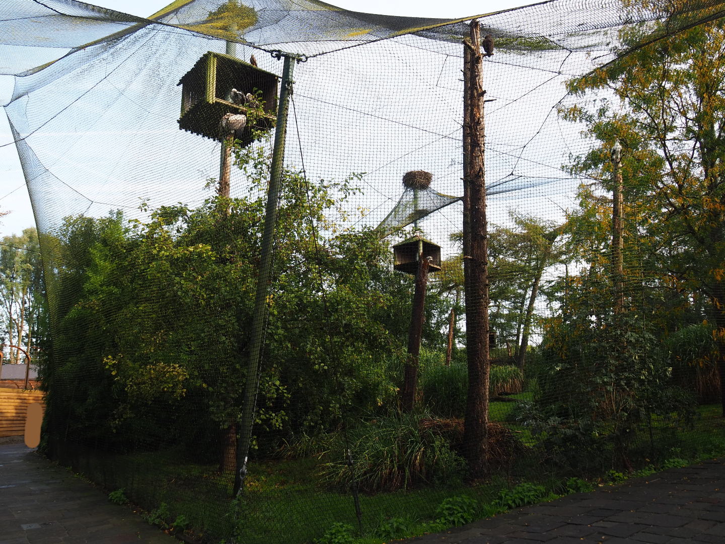 Walk-through raptor and vulture aviary, 2019-10-04