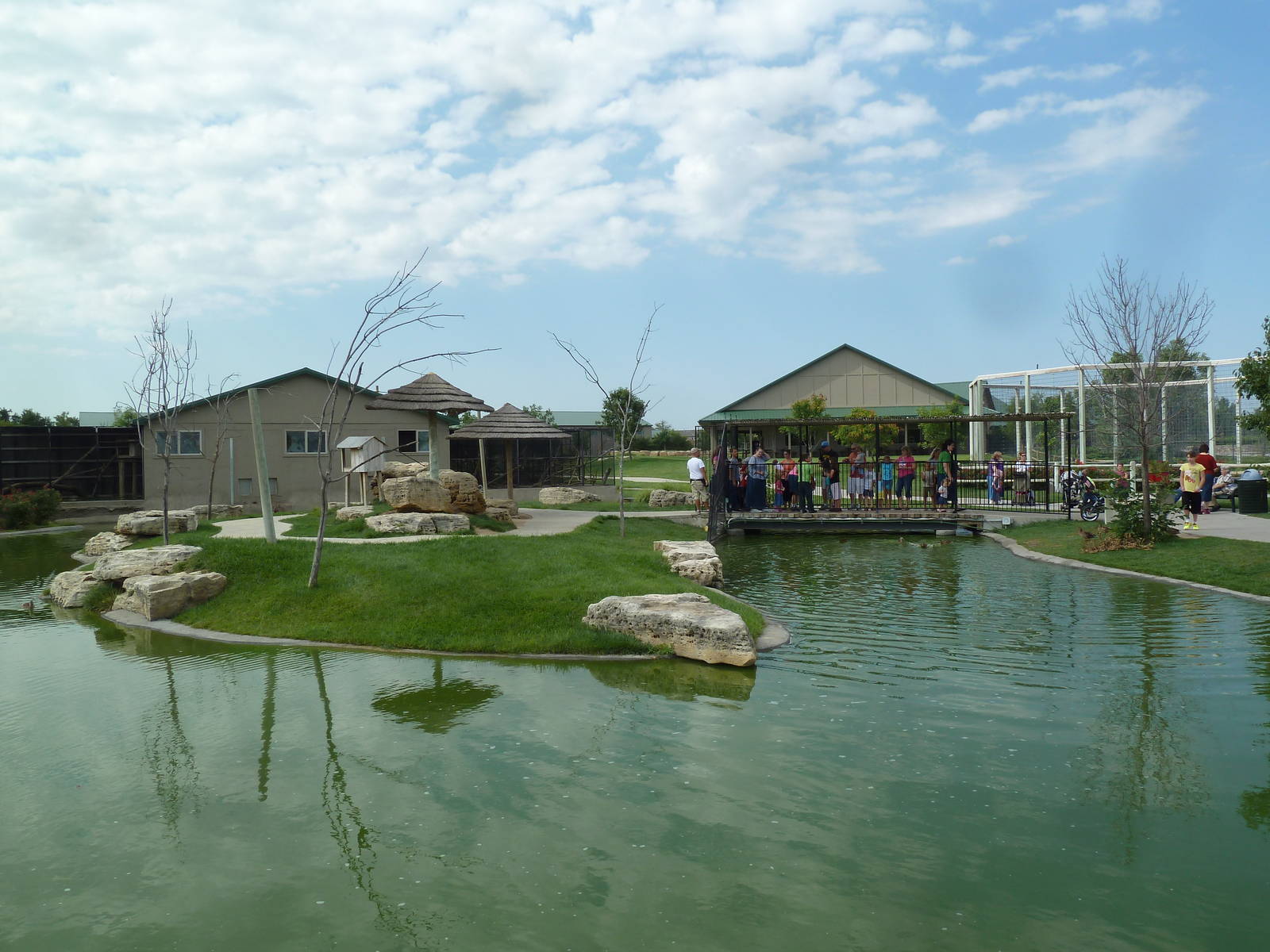 Walk-Through Ring-Tailed Lemur Exhibit