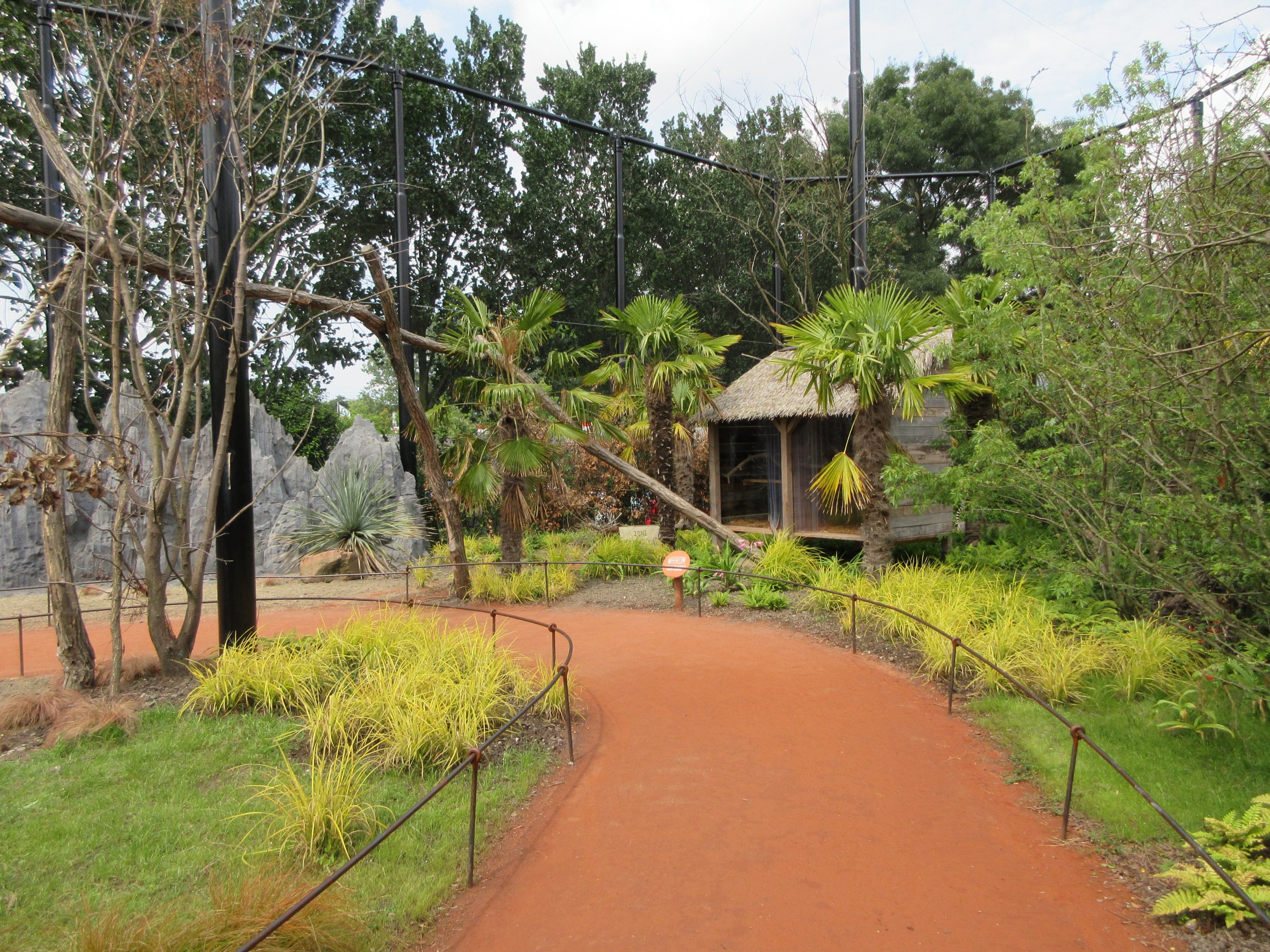 Walk-through Ring-tailed Lemur Exhibit