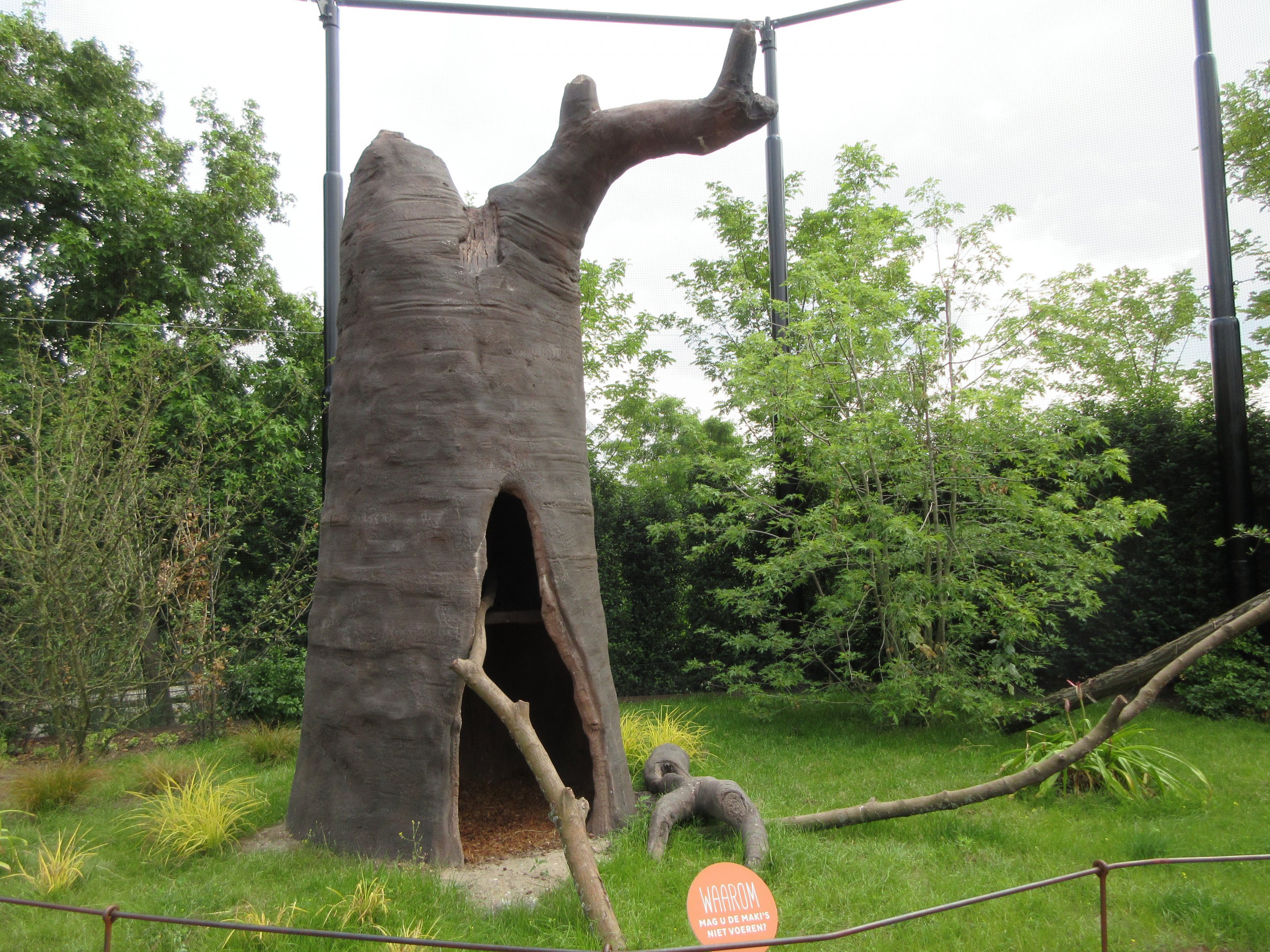 Walk-through Ring-tailed Lemur Exhibit