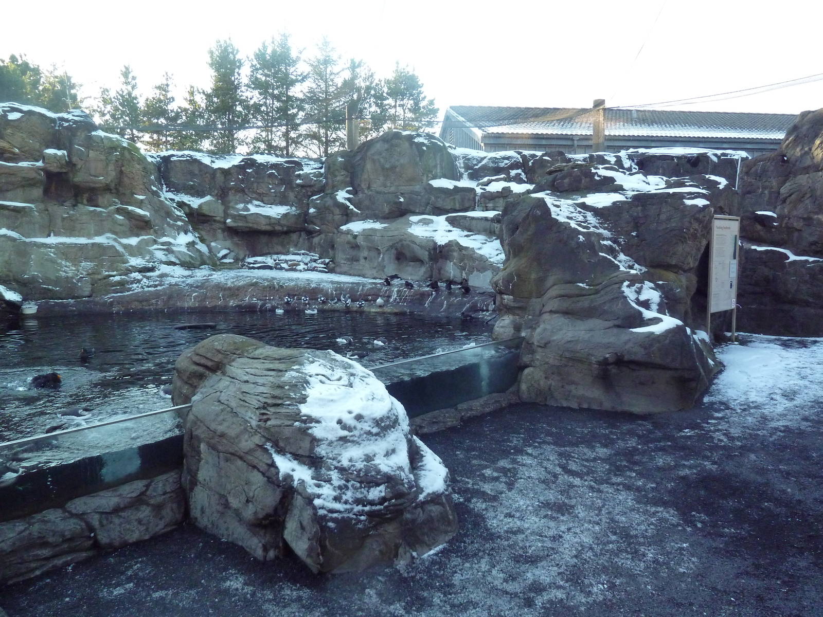 Walk-Through Seabird Aviary (6 Species)