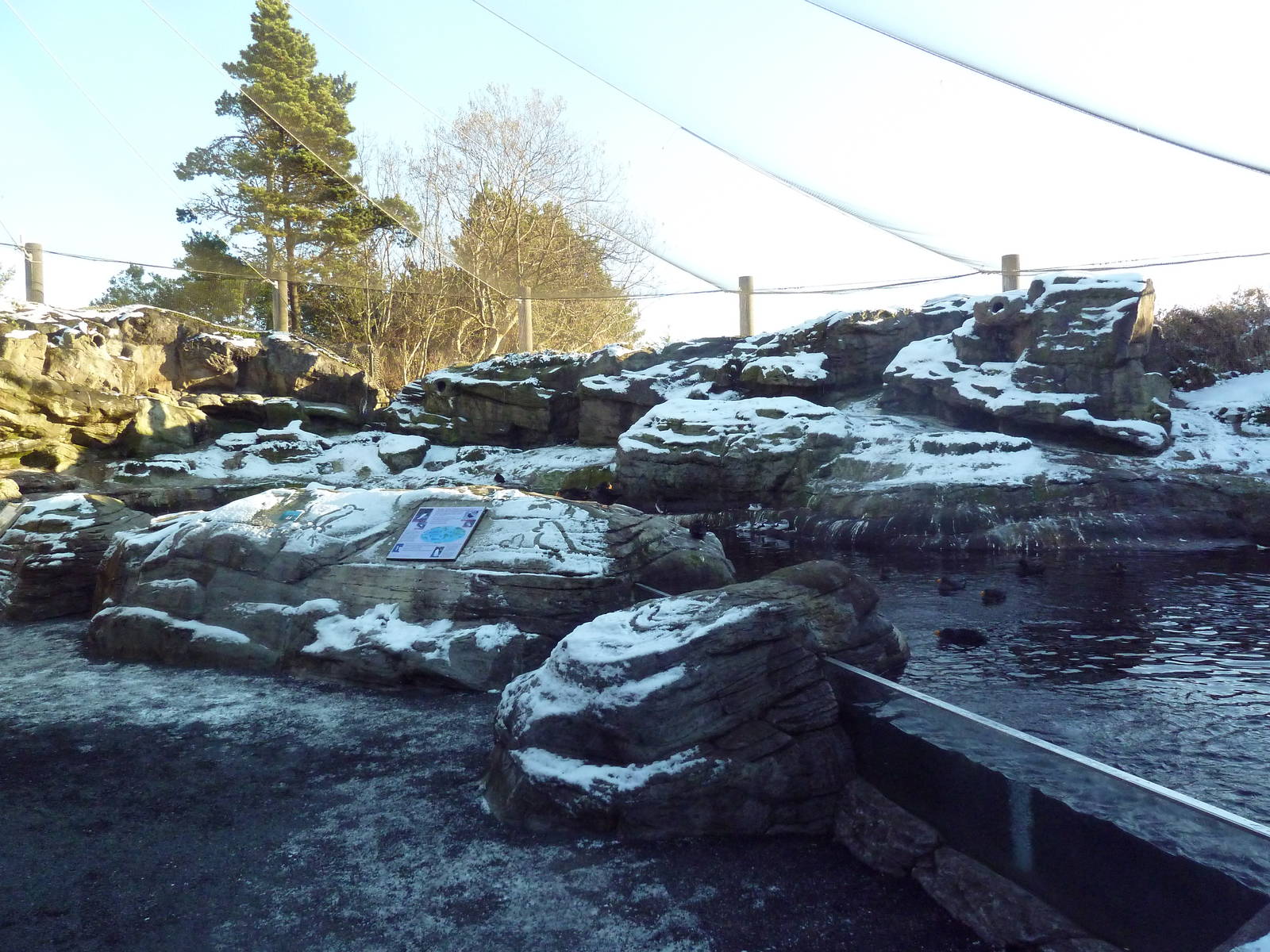 Walk-Through Seabird Aviary (6 Species)