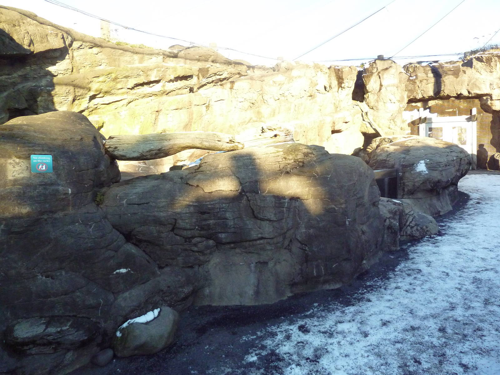 Walk-Through Seabird Aviary (6 Species)