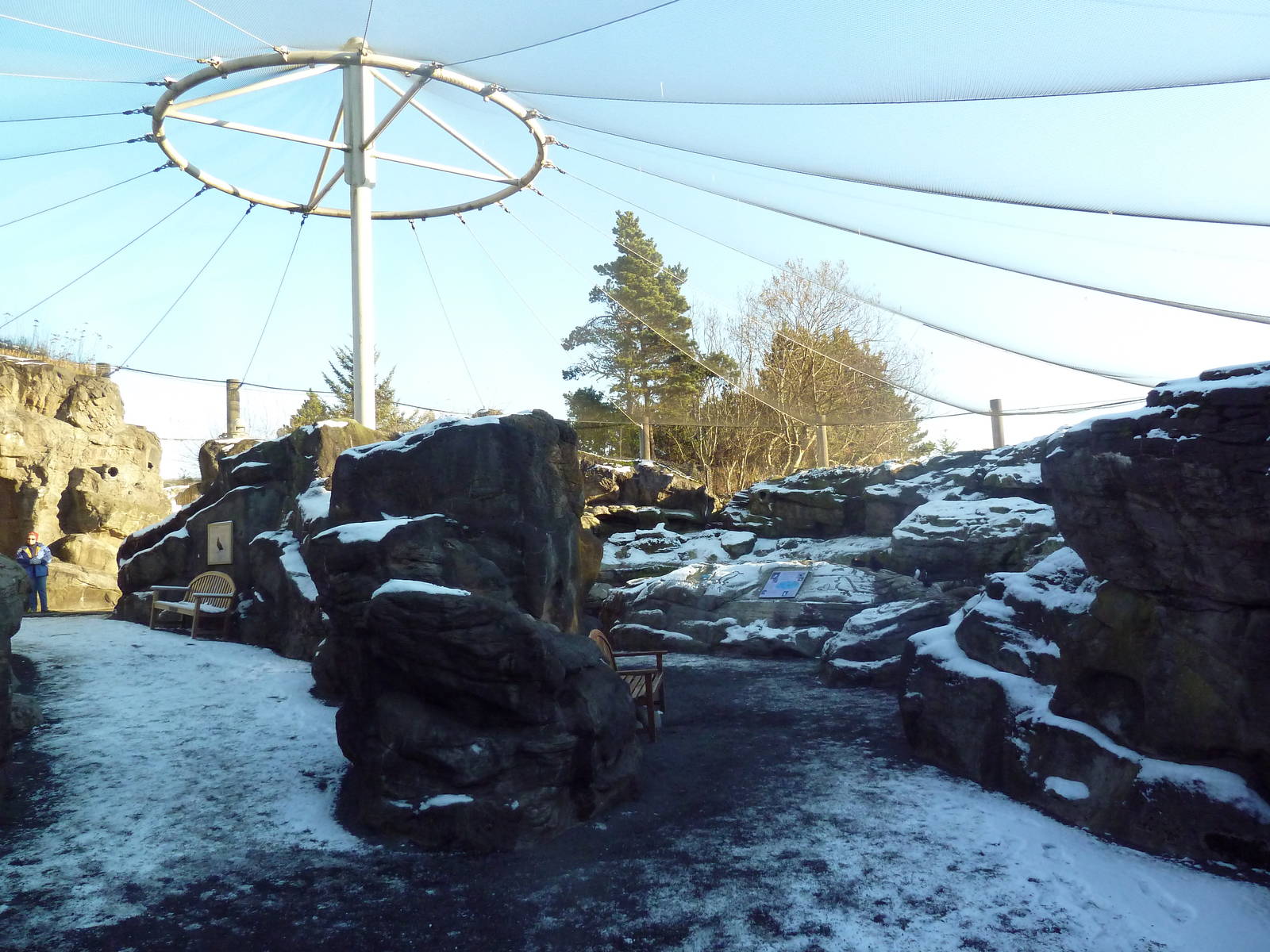 Walk-Through Seabird Aviary (6 Species)