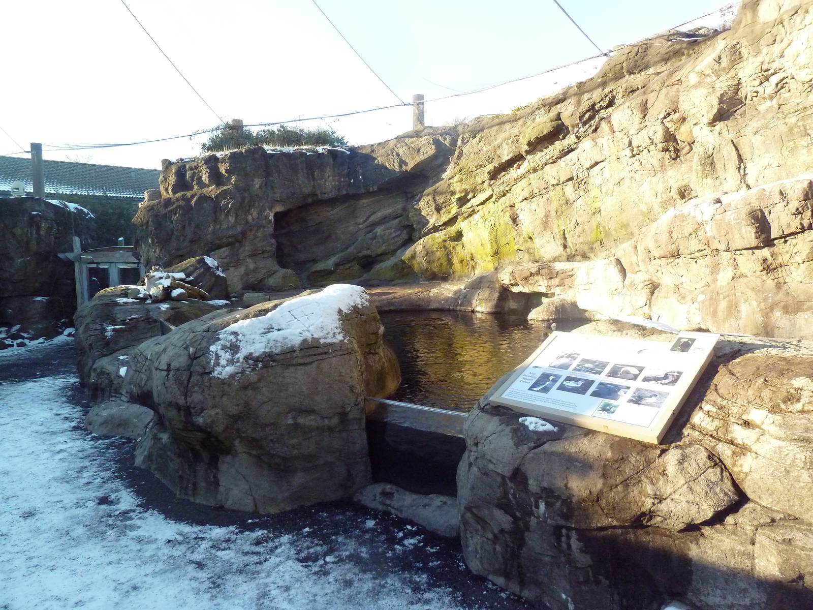 Walk-Through Seabird Aviary (6 Species)