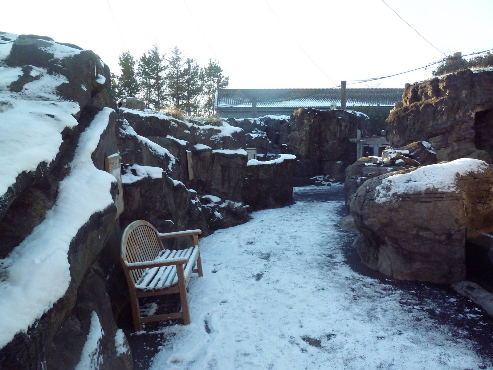 Walk-Through Seabird Aviary (6 Species)