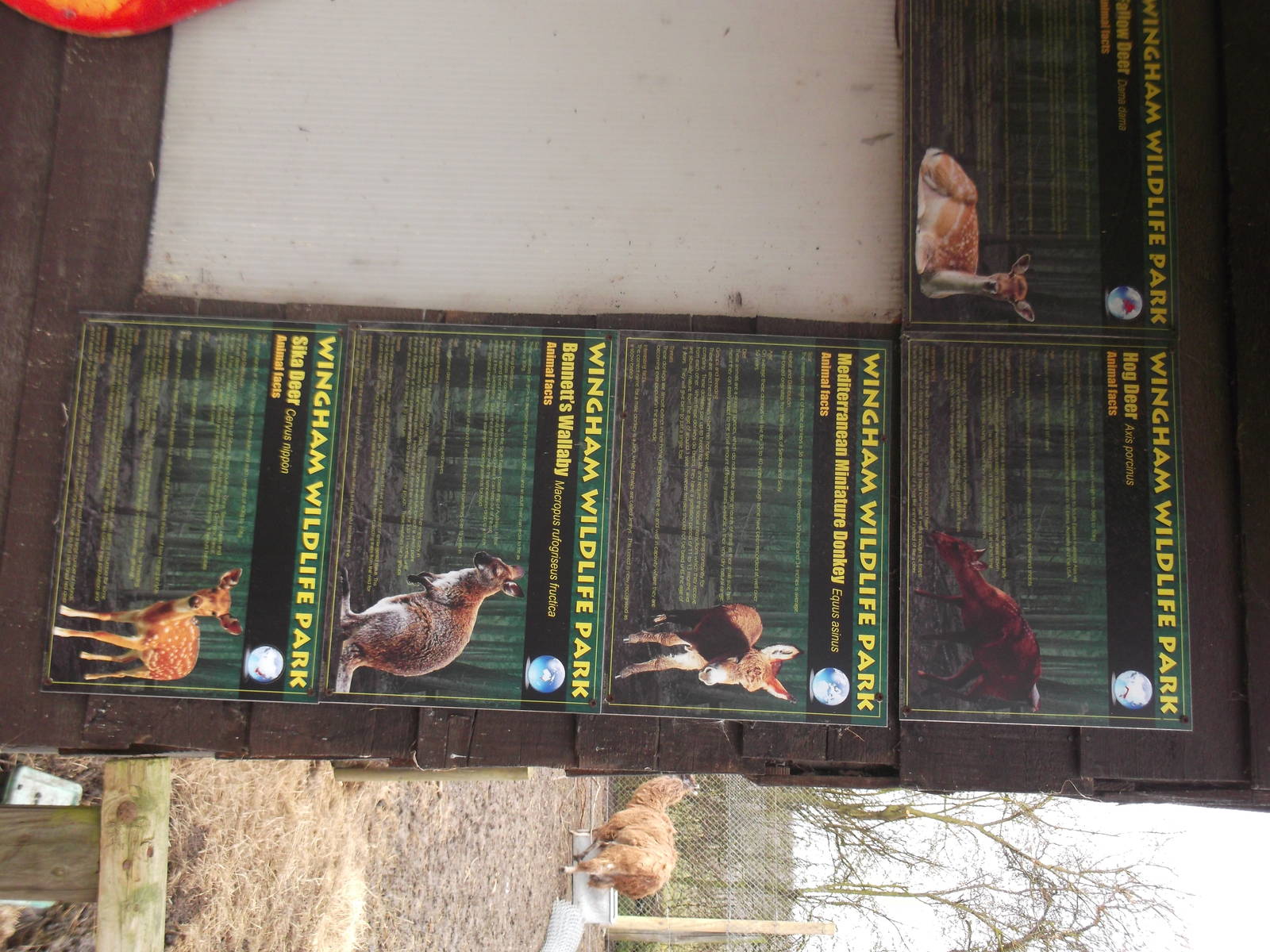 walk through signage