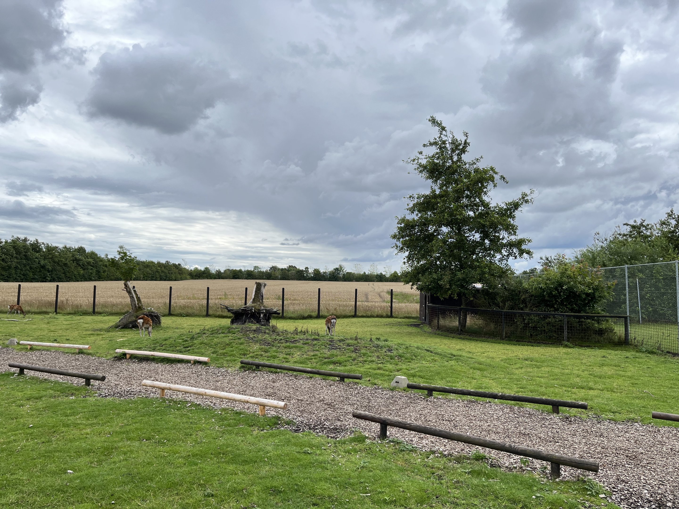 Walk Through Sika Deer Exhibit