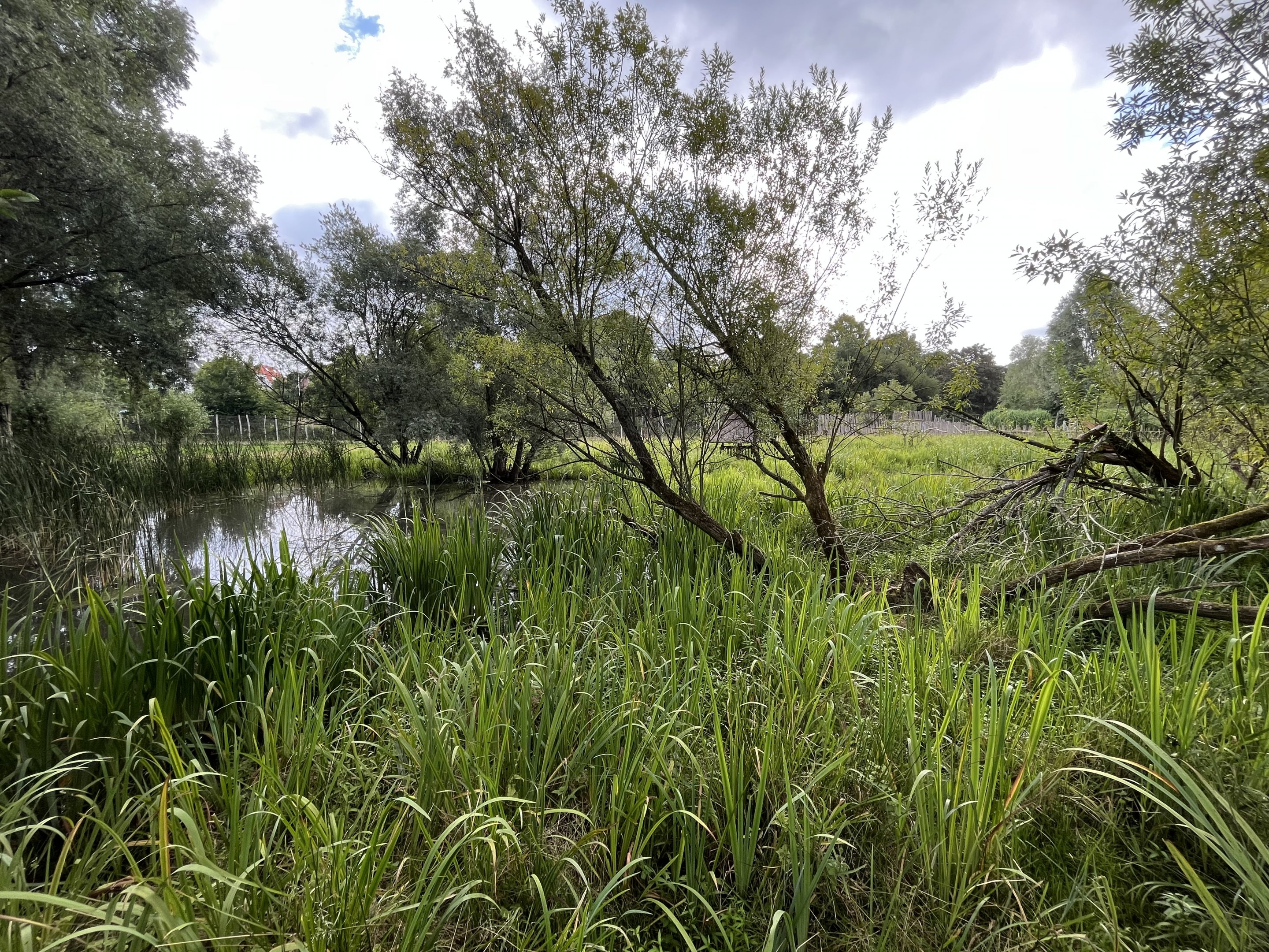 Walk Through Sitatunga Exhibit