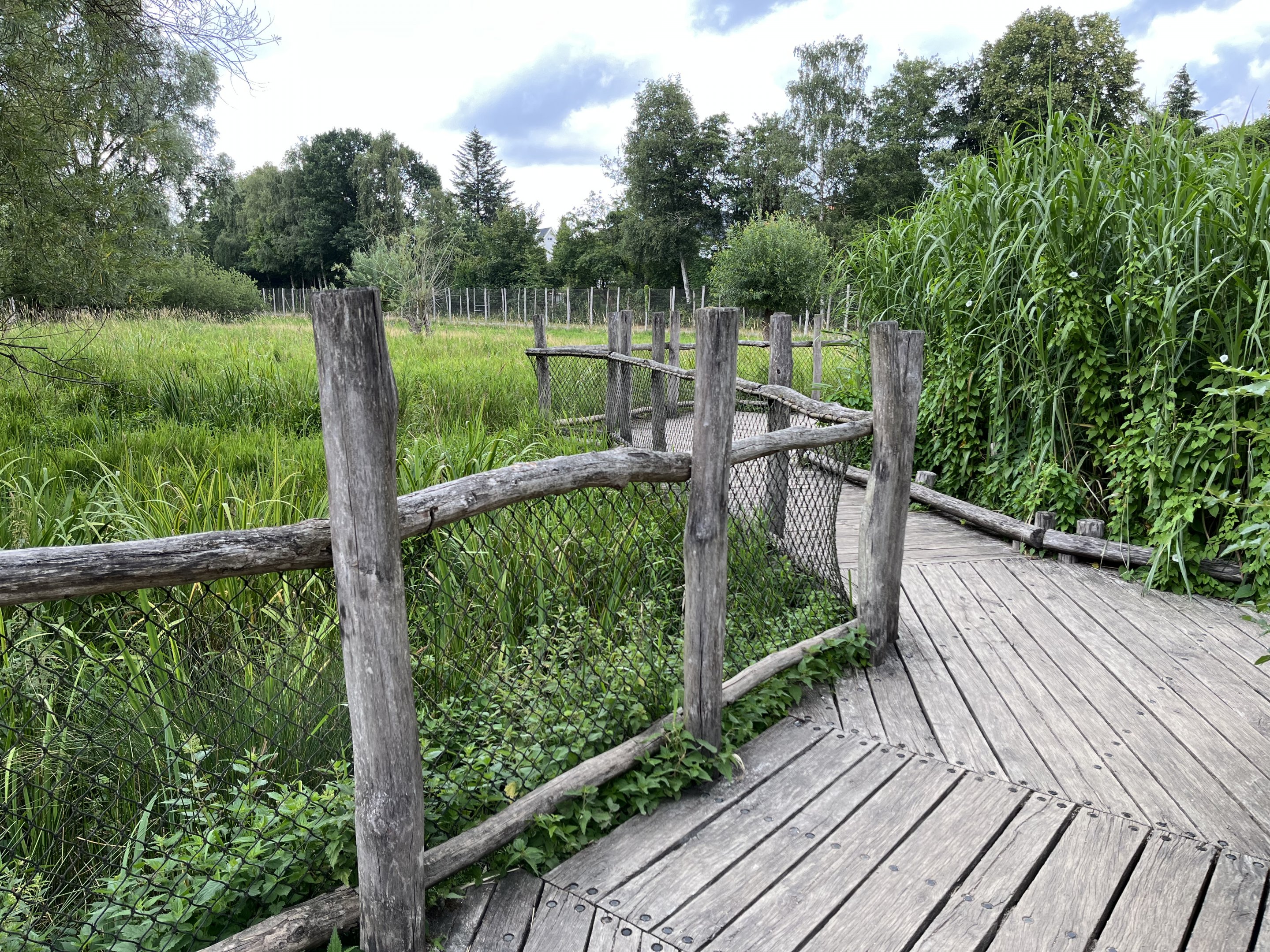 Walk Through Sitatunga Exhibit