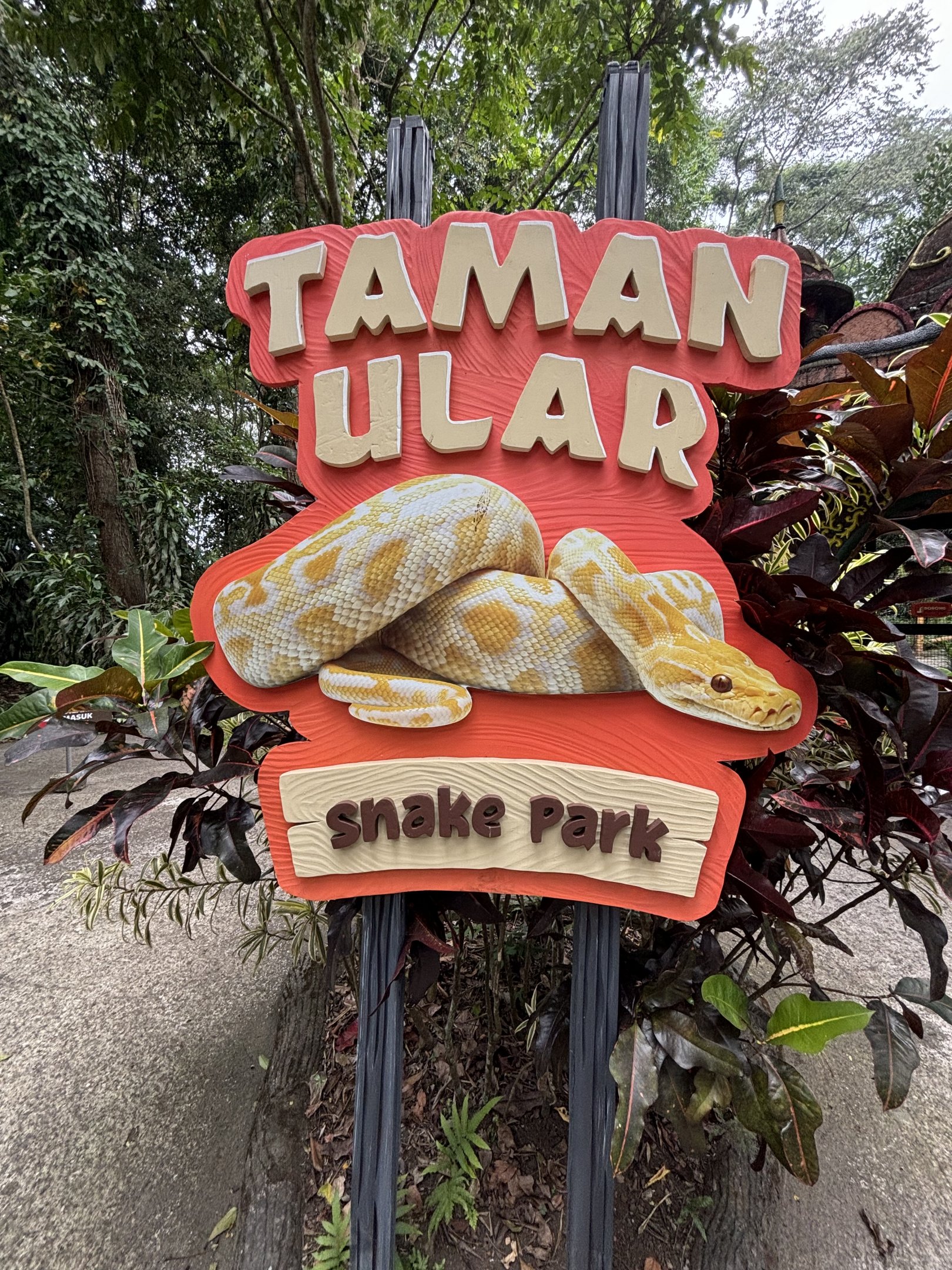 Walk-through Snake Habitat