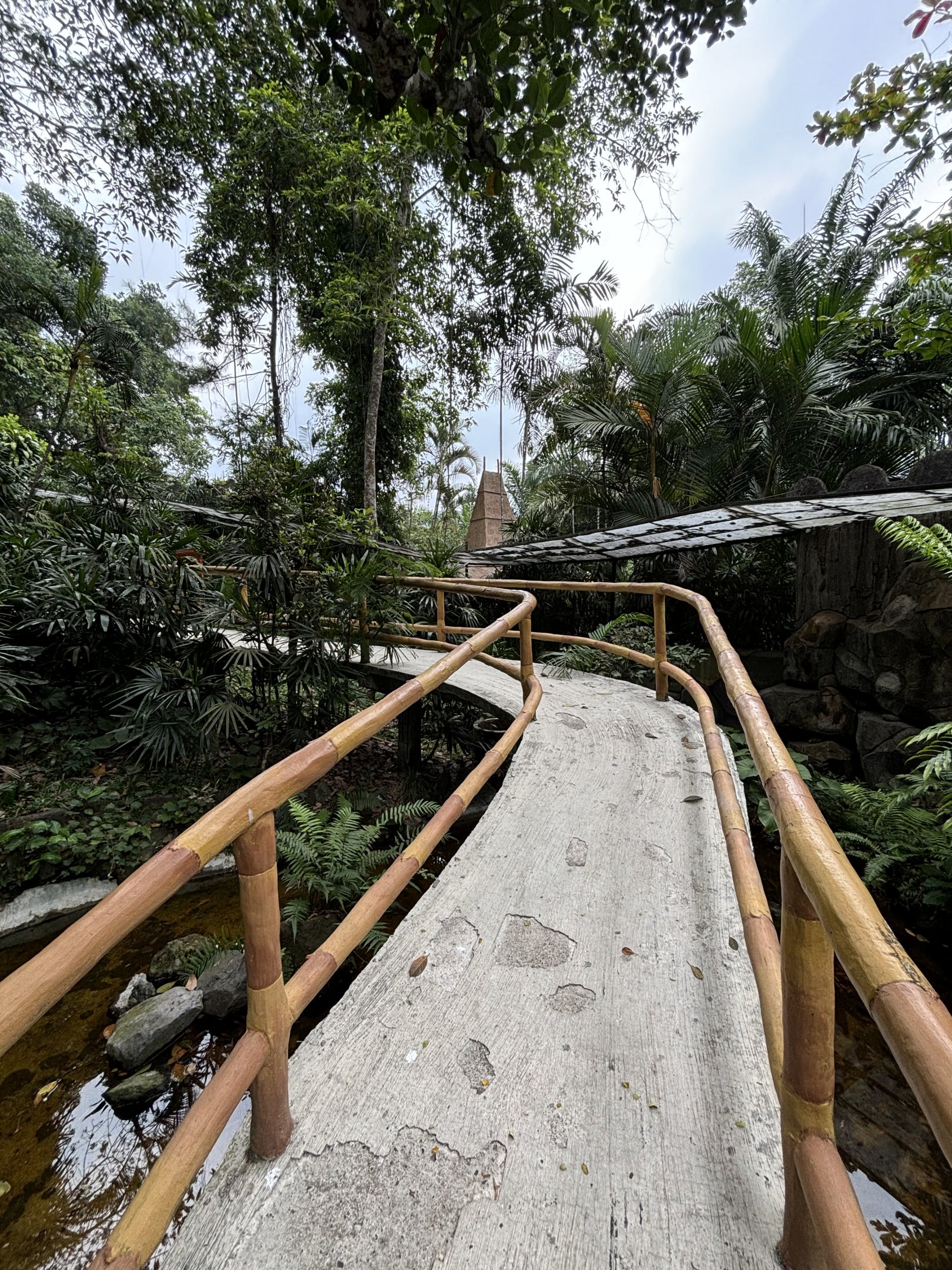 Walk-through Snake Habitat