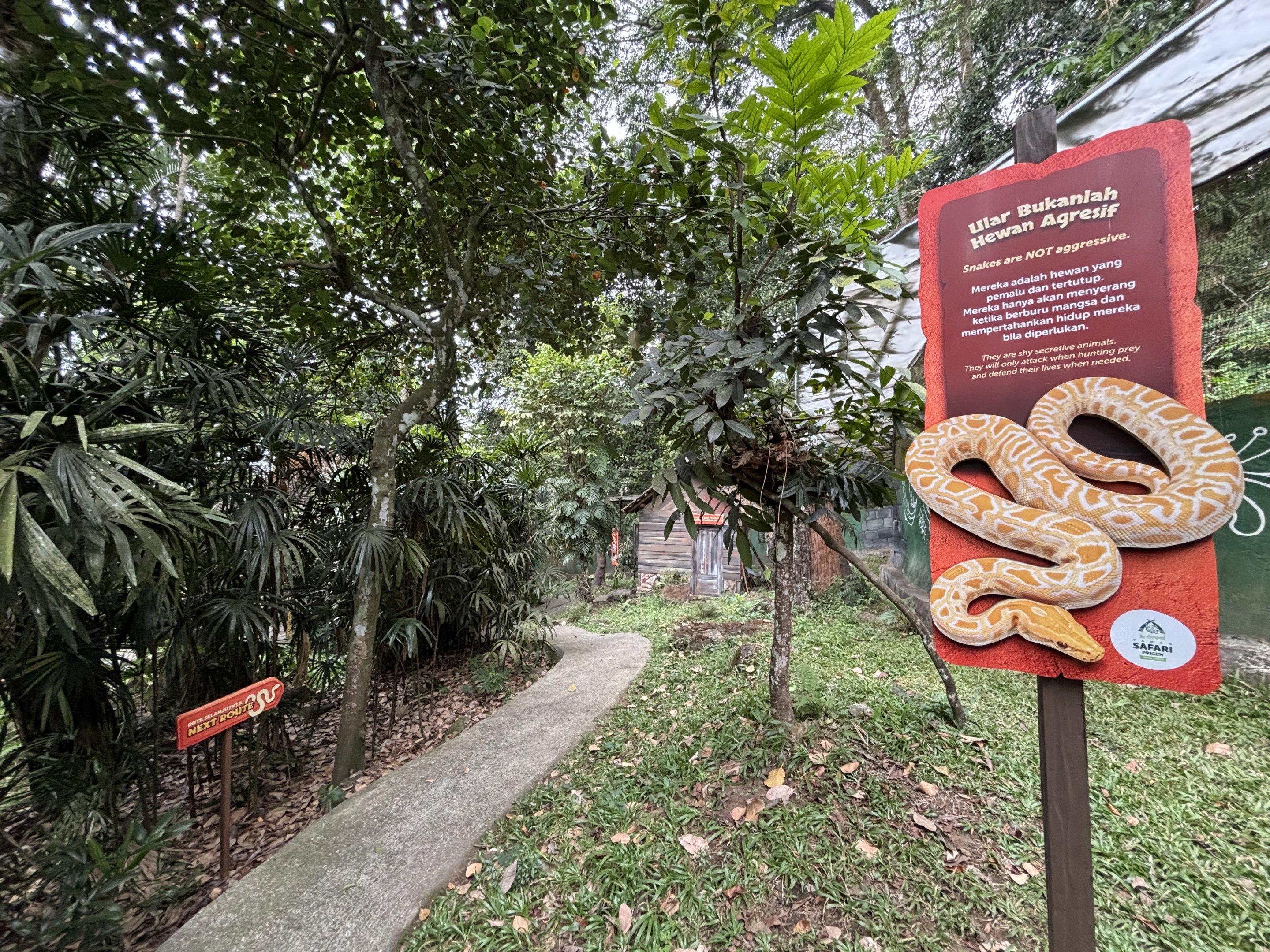 Walk-through Snake Habitat