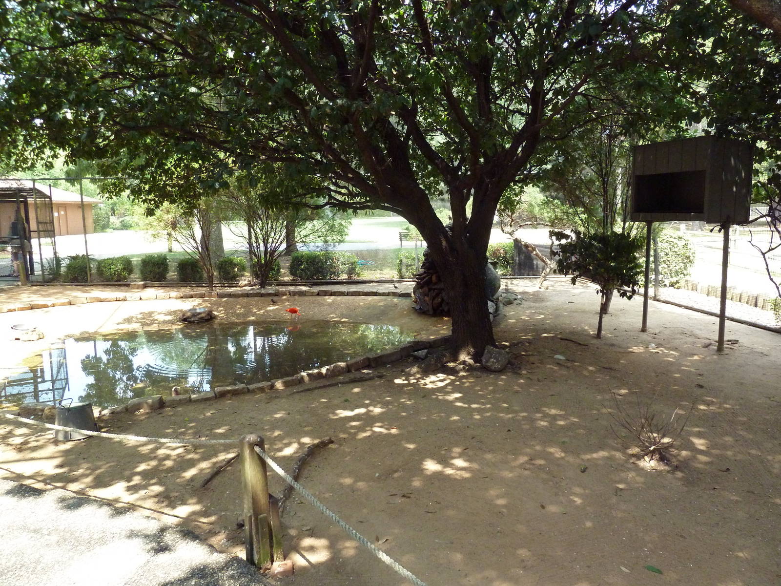 Walk-Through South American Aviary