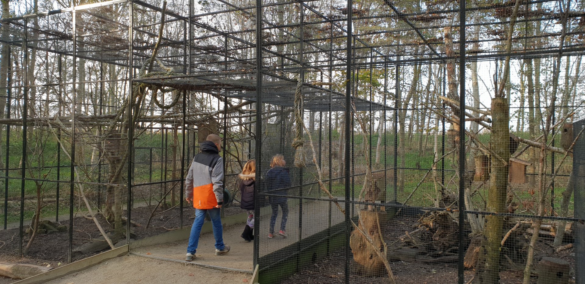 Walk-through Squirrel-enclosure