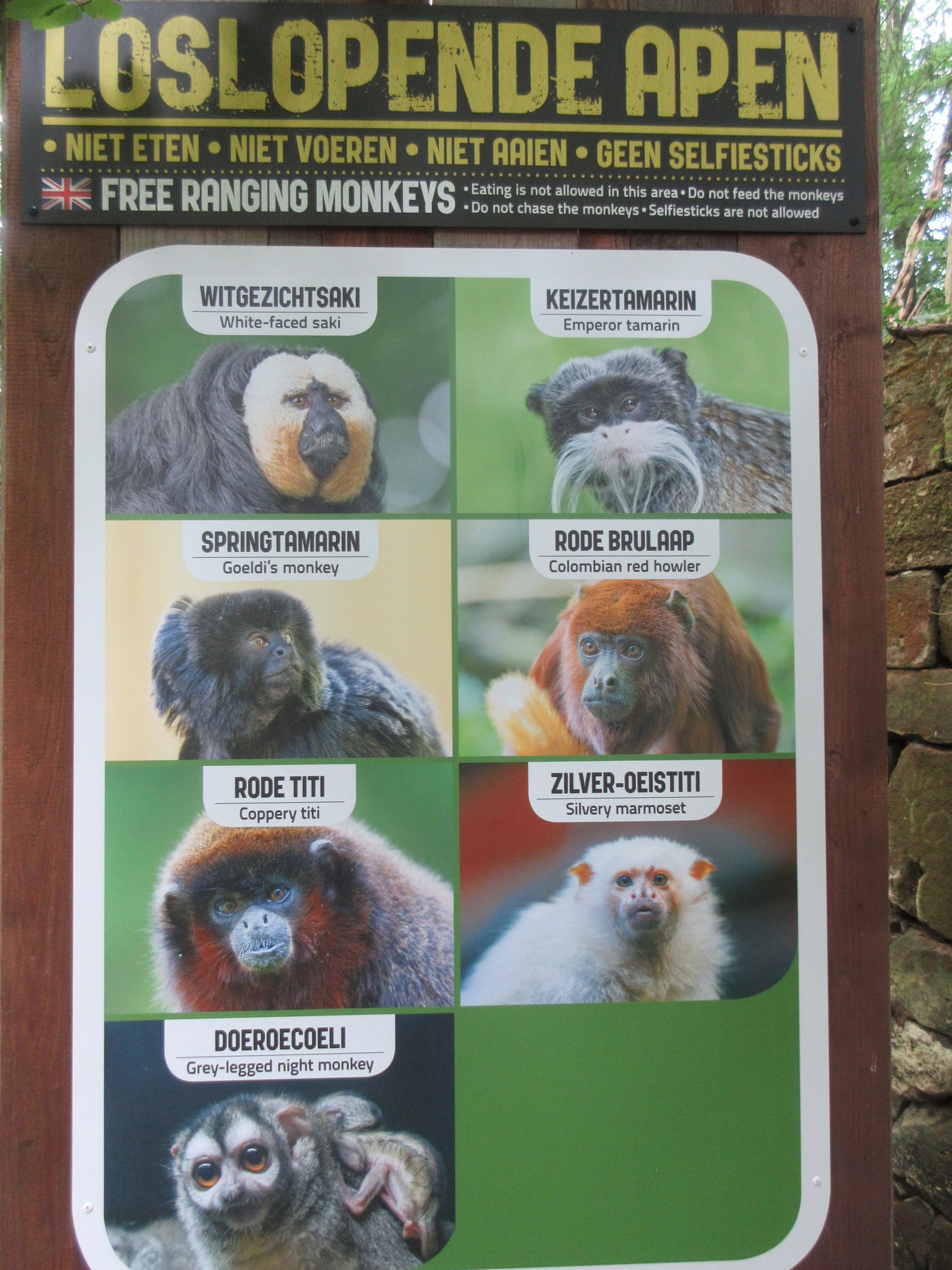 Walk-through 'Tree-top Walk' Sign