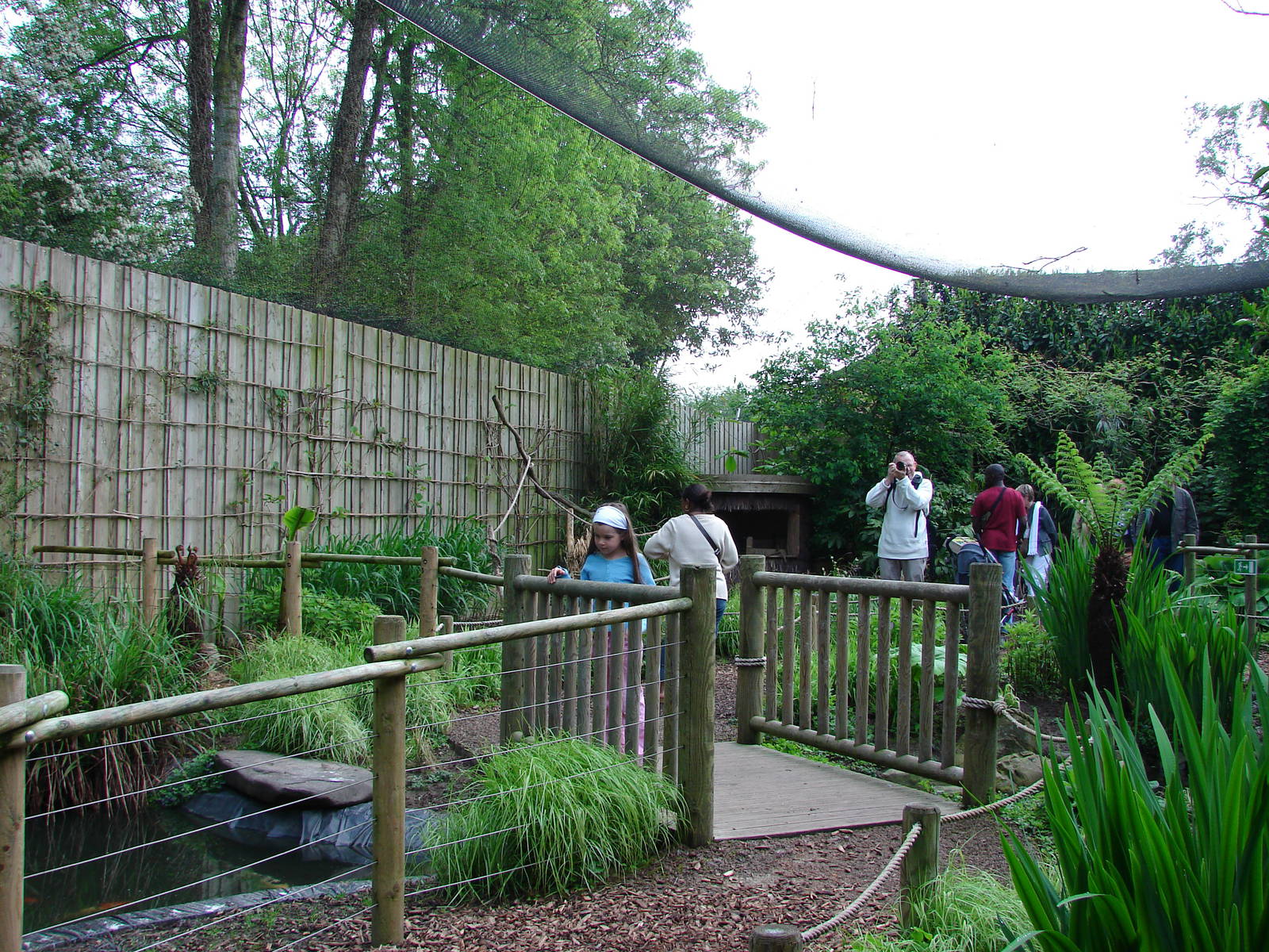 Walk-through tropical aviary