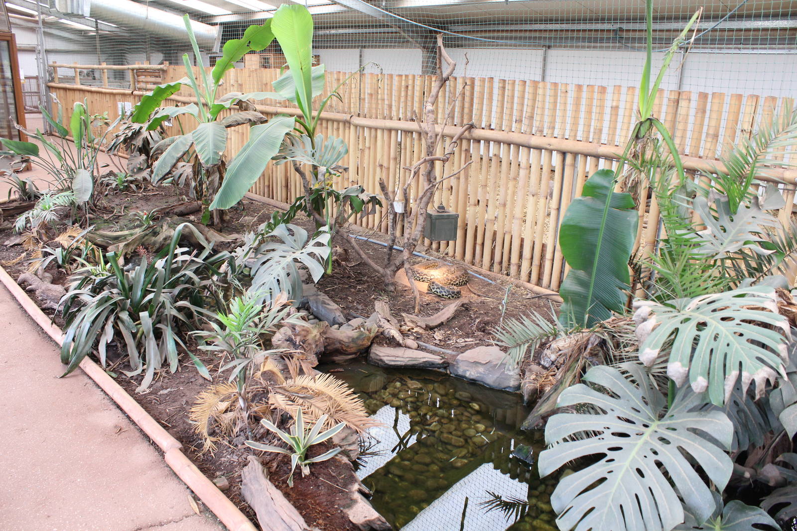 Walk through tropical exhibit