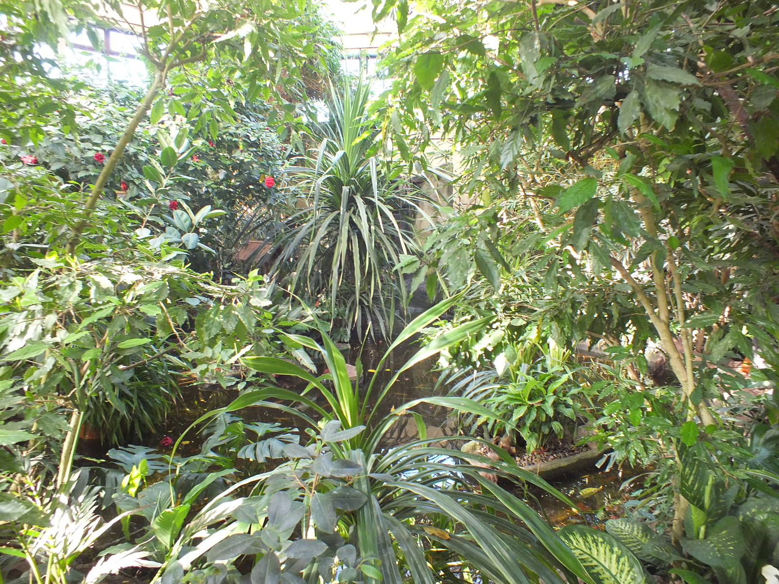 Walk through tropical exhibit