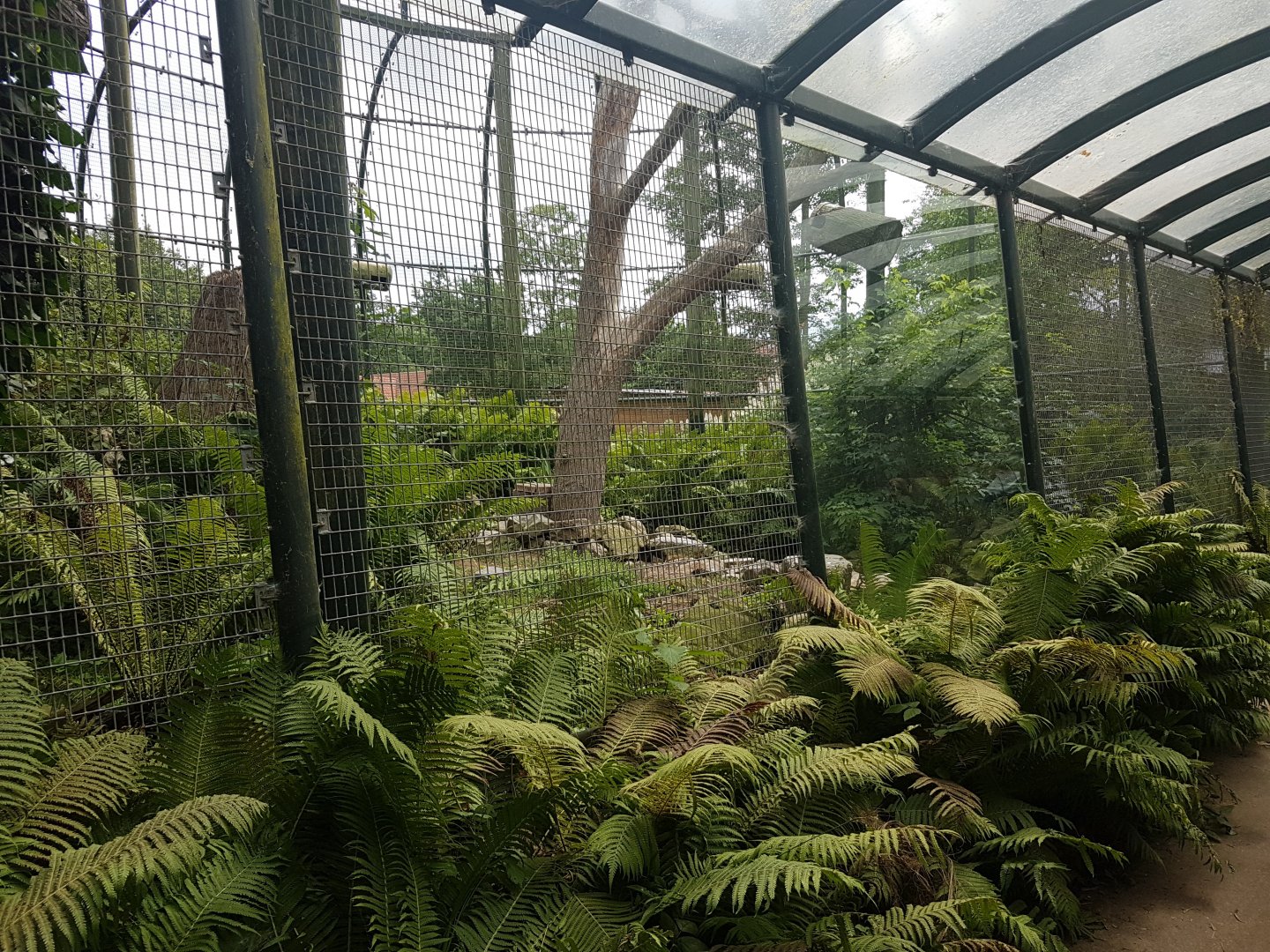 Walk-through tunnel Flamingo - Ibis - Macaw aviary