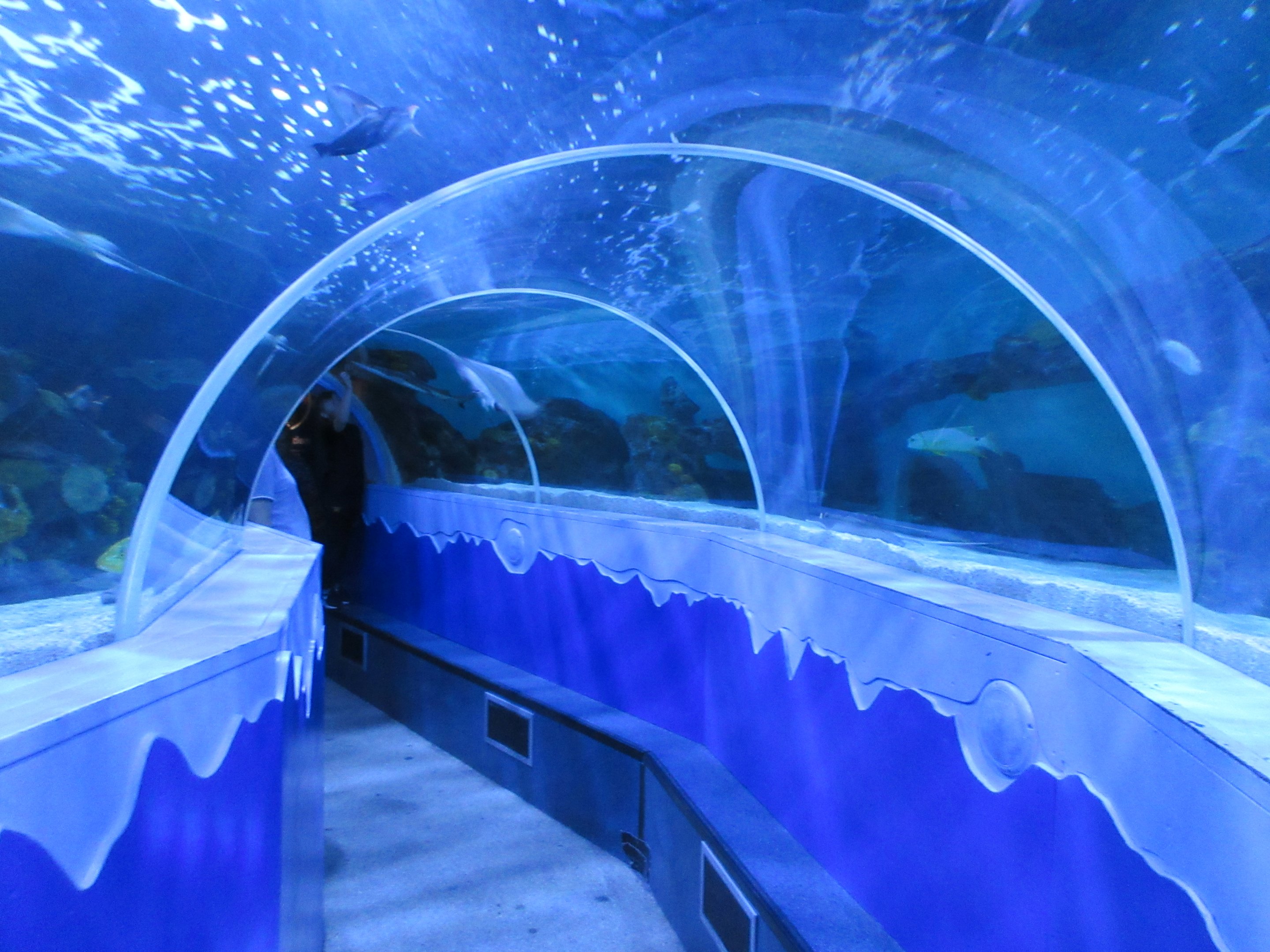 Walk-Through Tunnel (very short!)