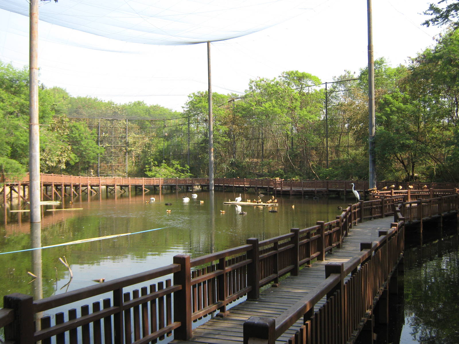 walk-through vulture aviary
