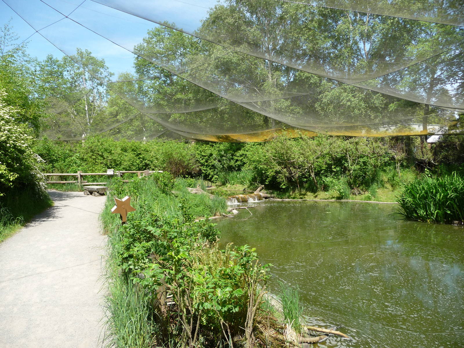 Walk-Through Waterfowl Aviary