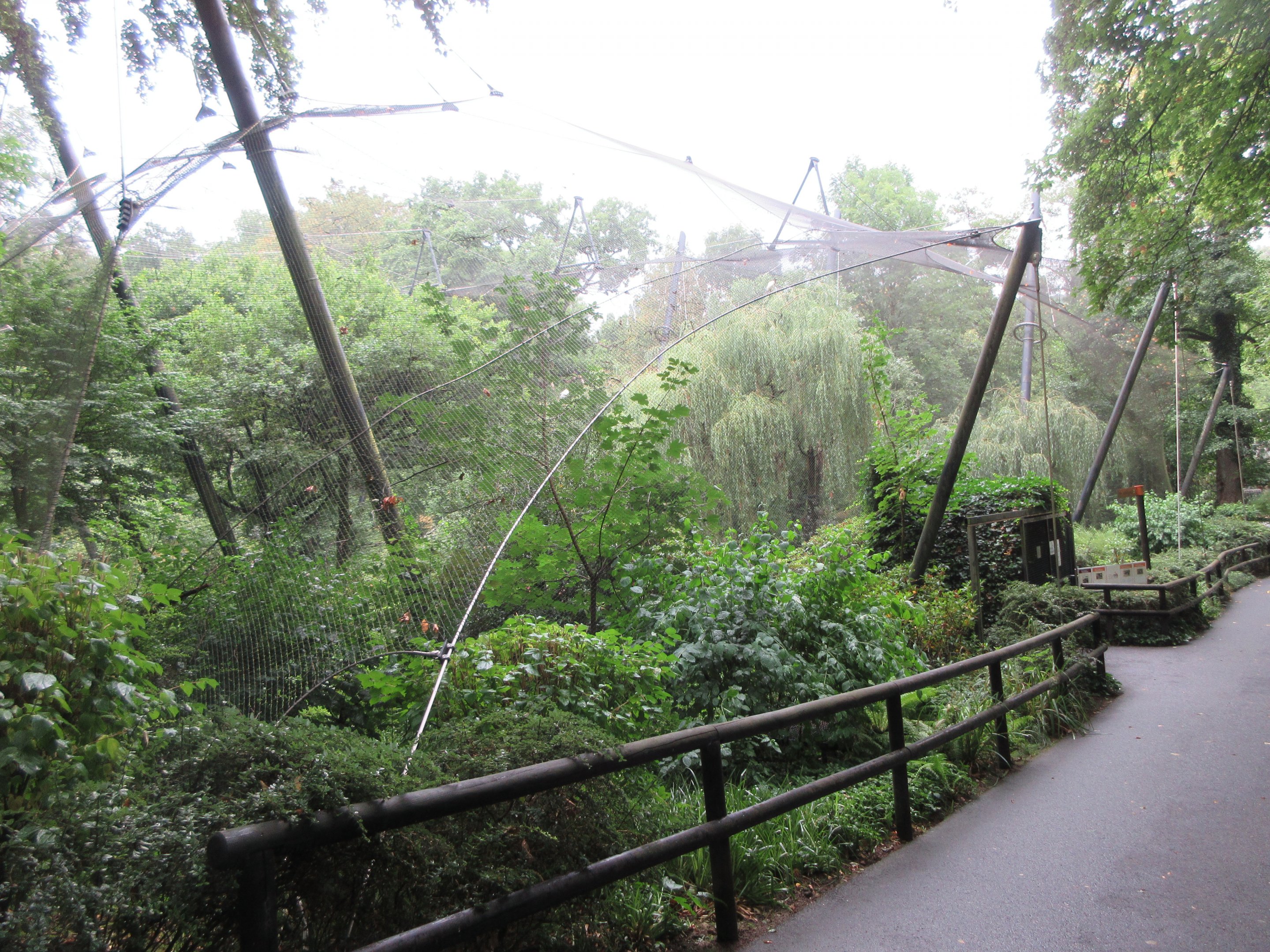 Walk-through Waterfowl Aviary