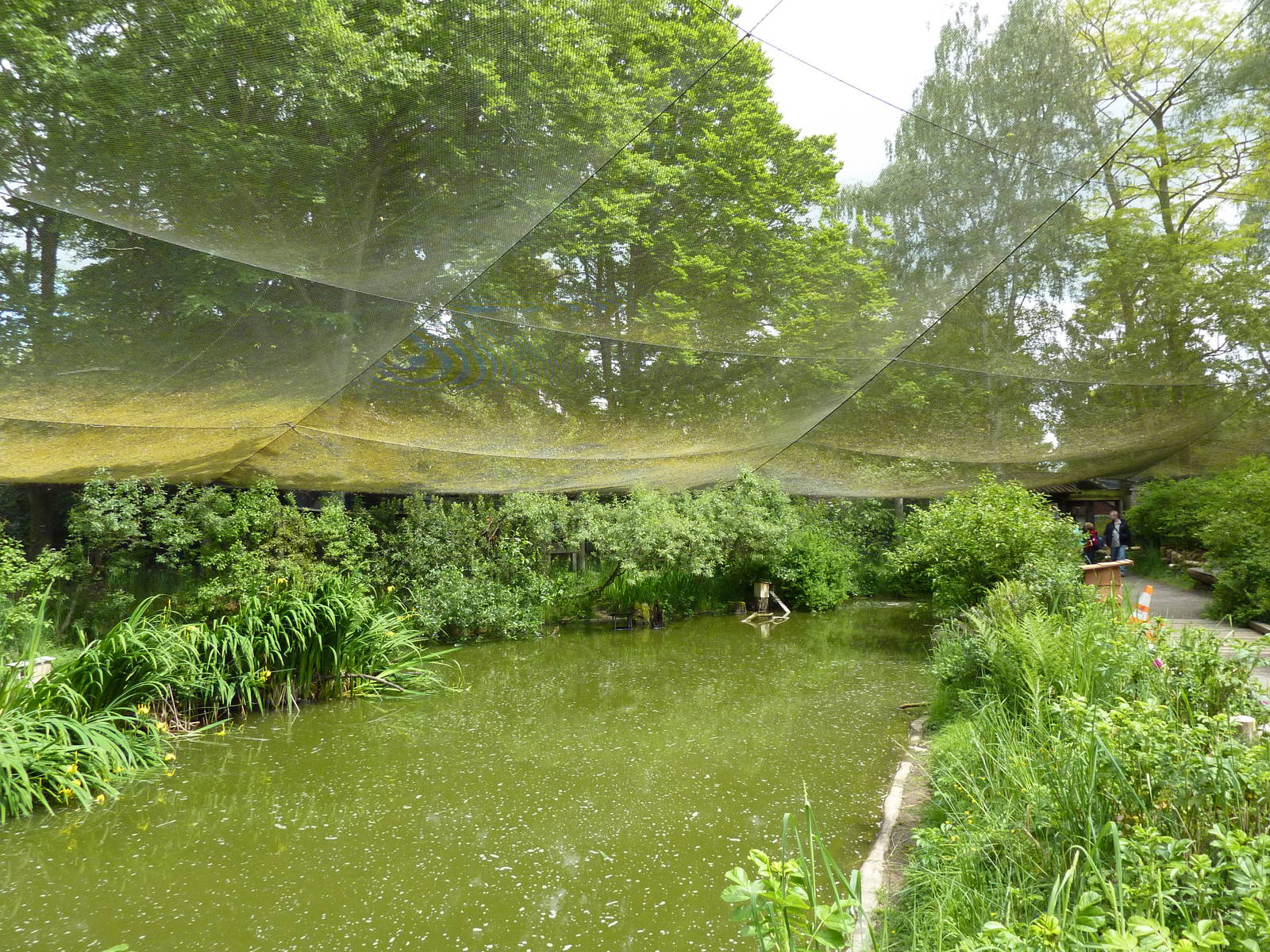 Walk-Through Waterfowl Aviary