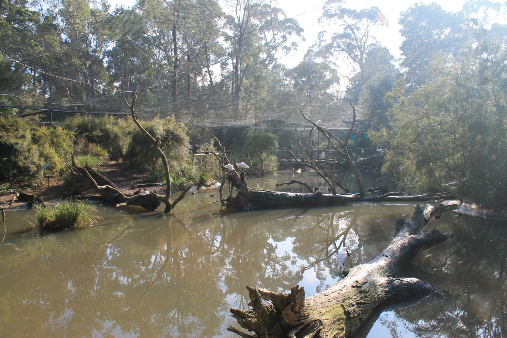 walk-through Wetland Aviary