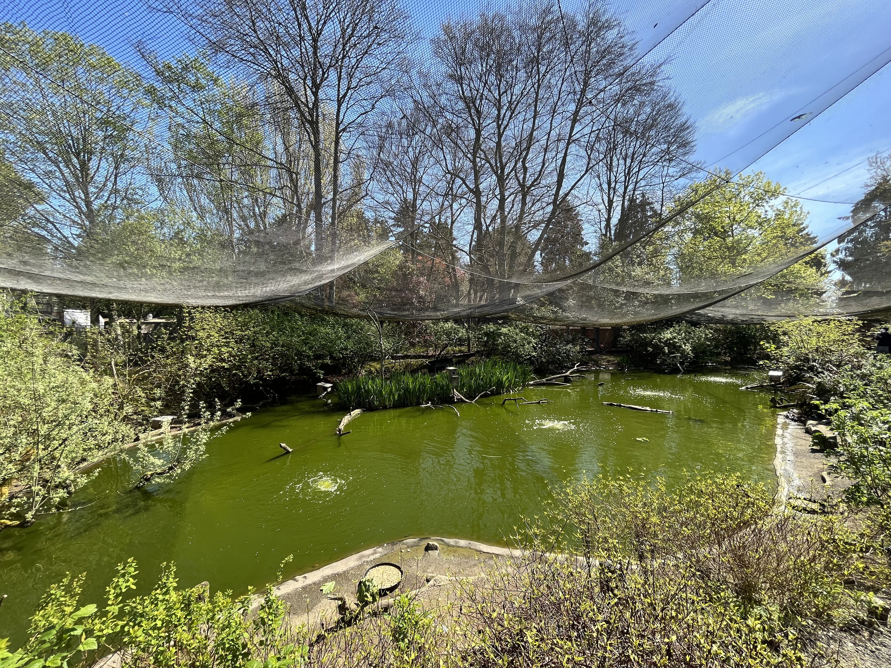 Walk-Through Wetlands Aviary