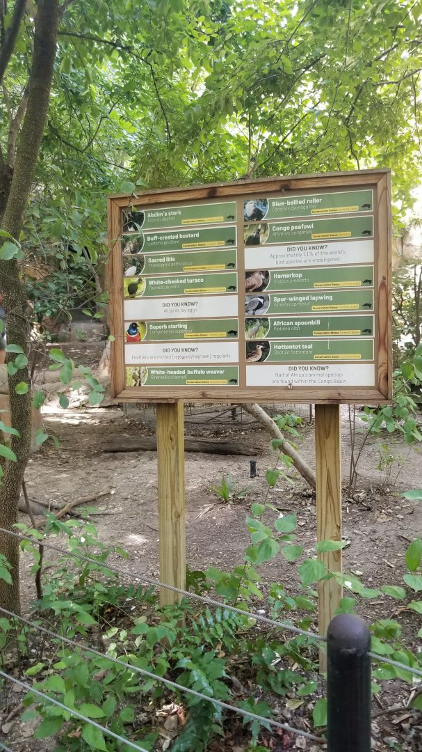 walk-thru Forest Aviary sign
