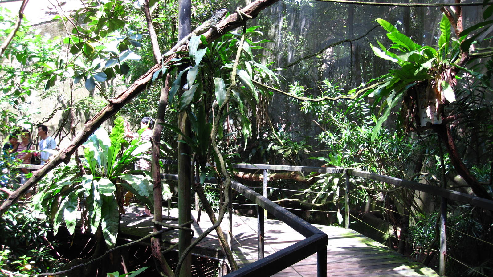 Walk-thru Reptile exhibit