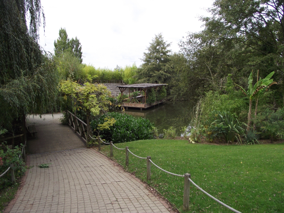 Walk to Parrot Jungle