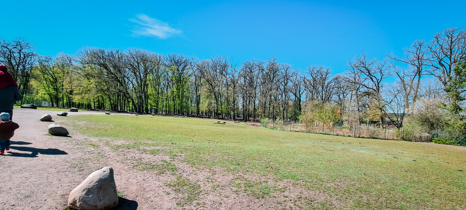 Walk trough exhibit with cattle, pigs and fallow deer